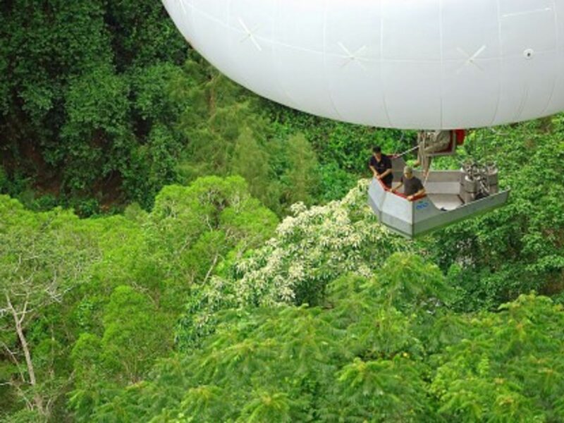 Survey of the canopy with the "arboglisseur"