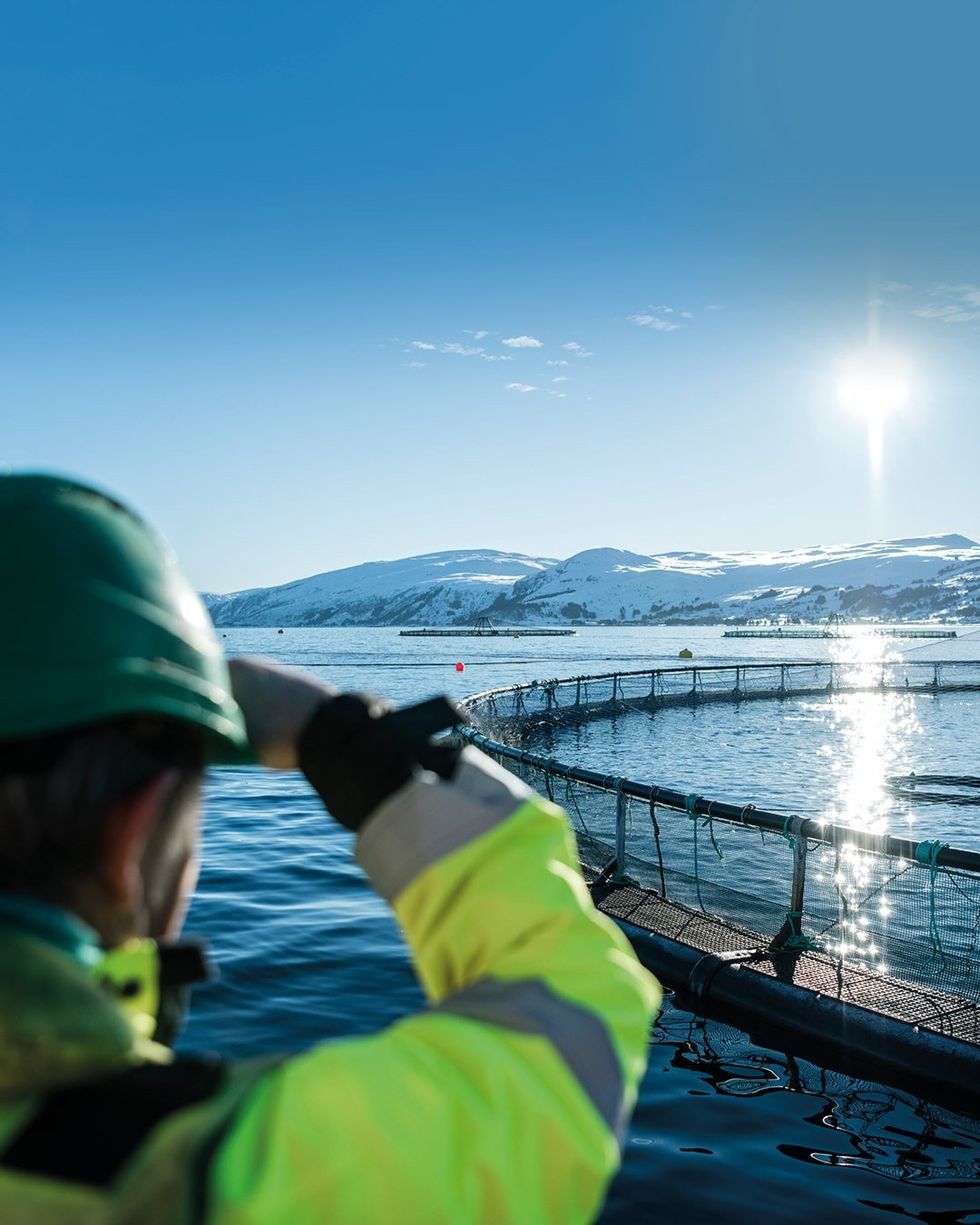 Sustainable salmon farming that produces delicious, healthy food while protecting ocean environments for future generations.