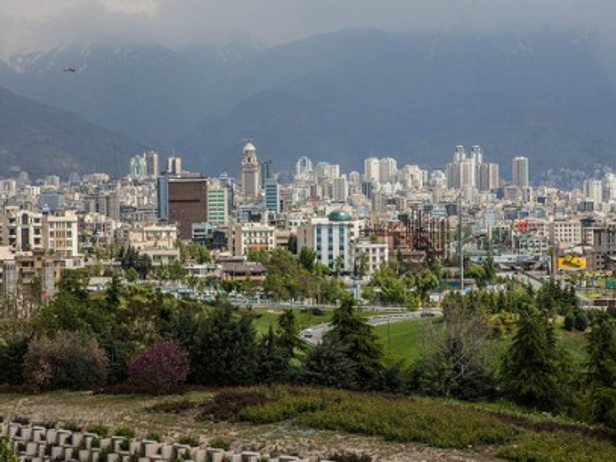 Tehran Sewage Kills Two Million Fish