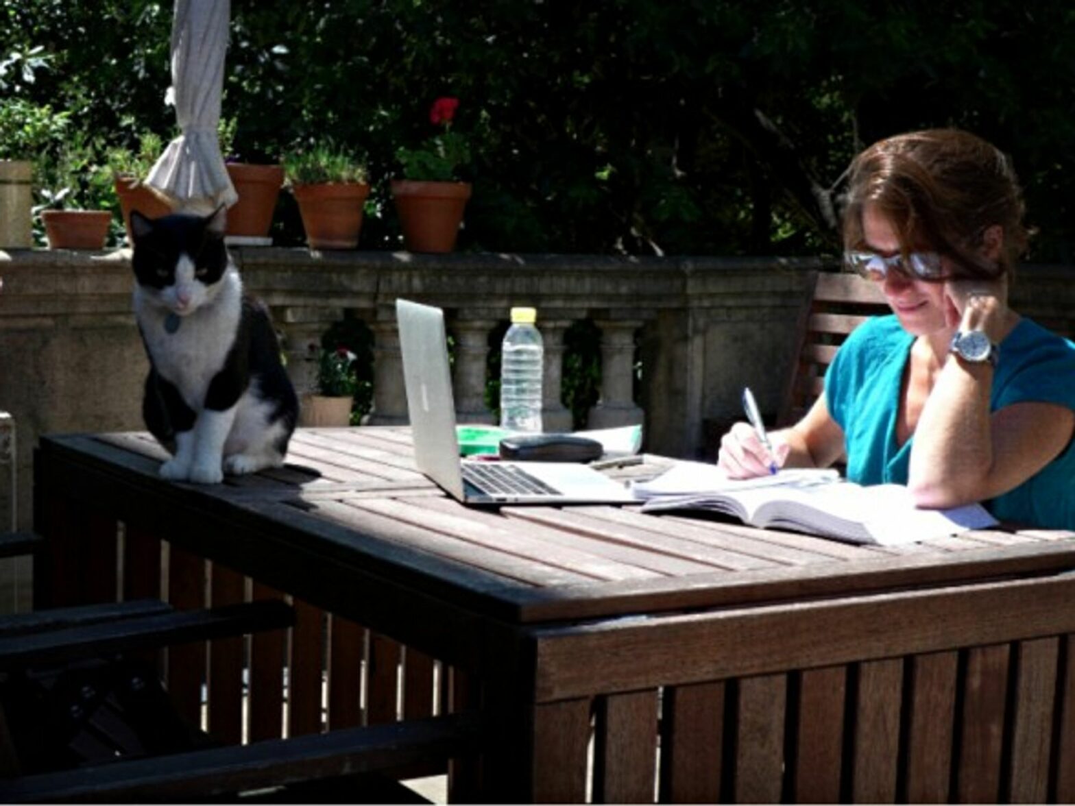 Teleworking comes with its purrrks