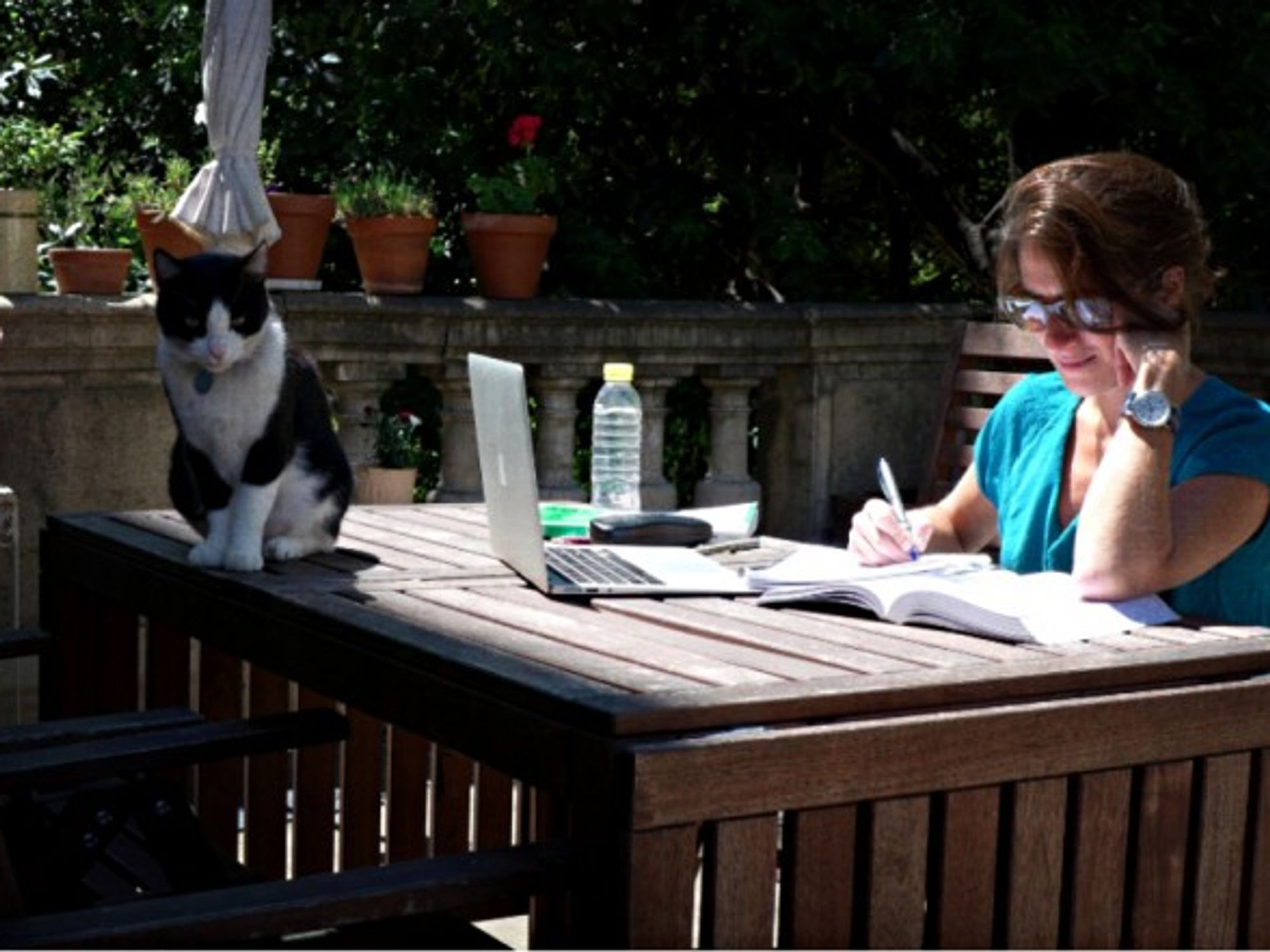 Teleworking comes with its purrrks