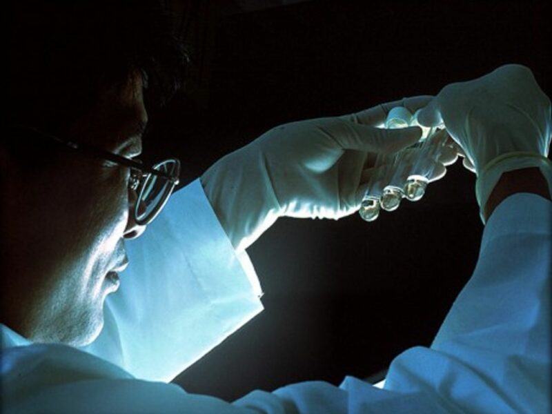 Test tubes containing cells that have been exposed to the AIDS virus