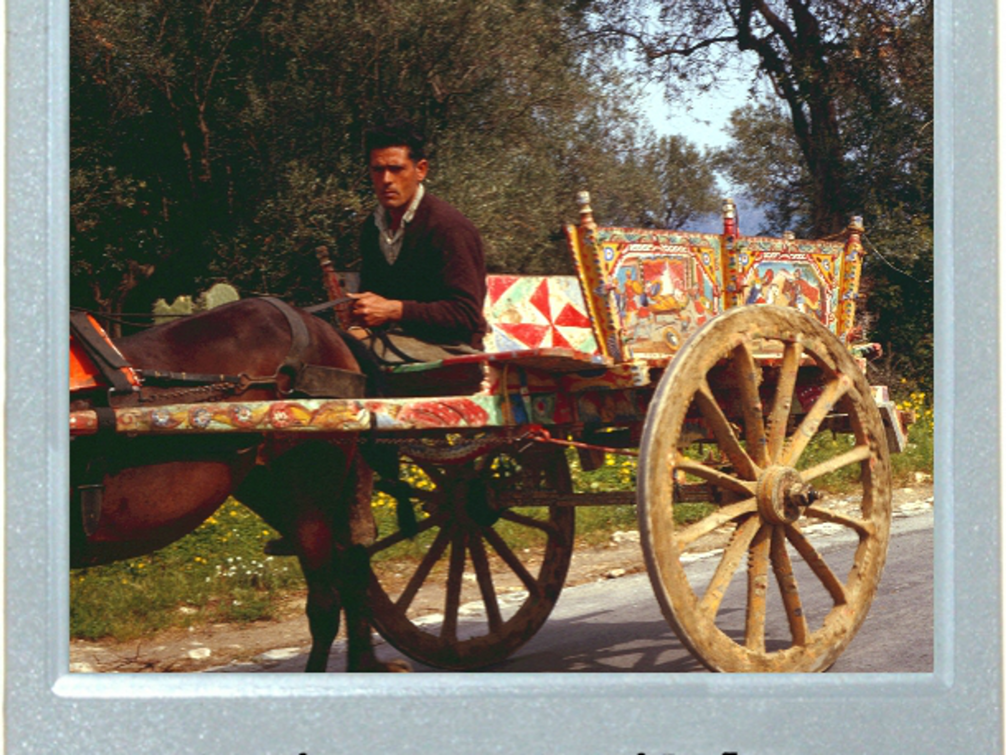 The Art Of The Cart
