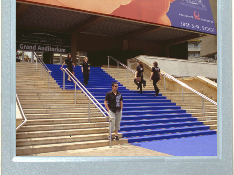 The Blue Carpet Of Cannes