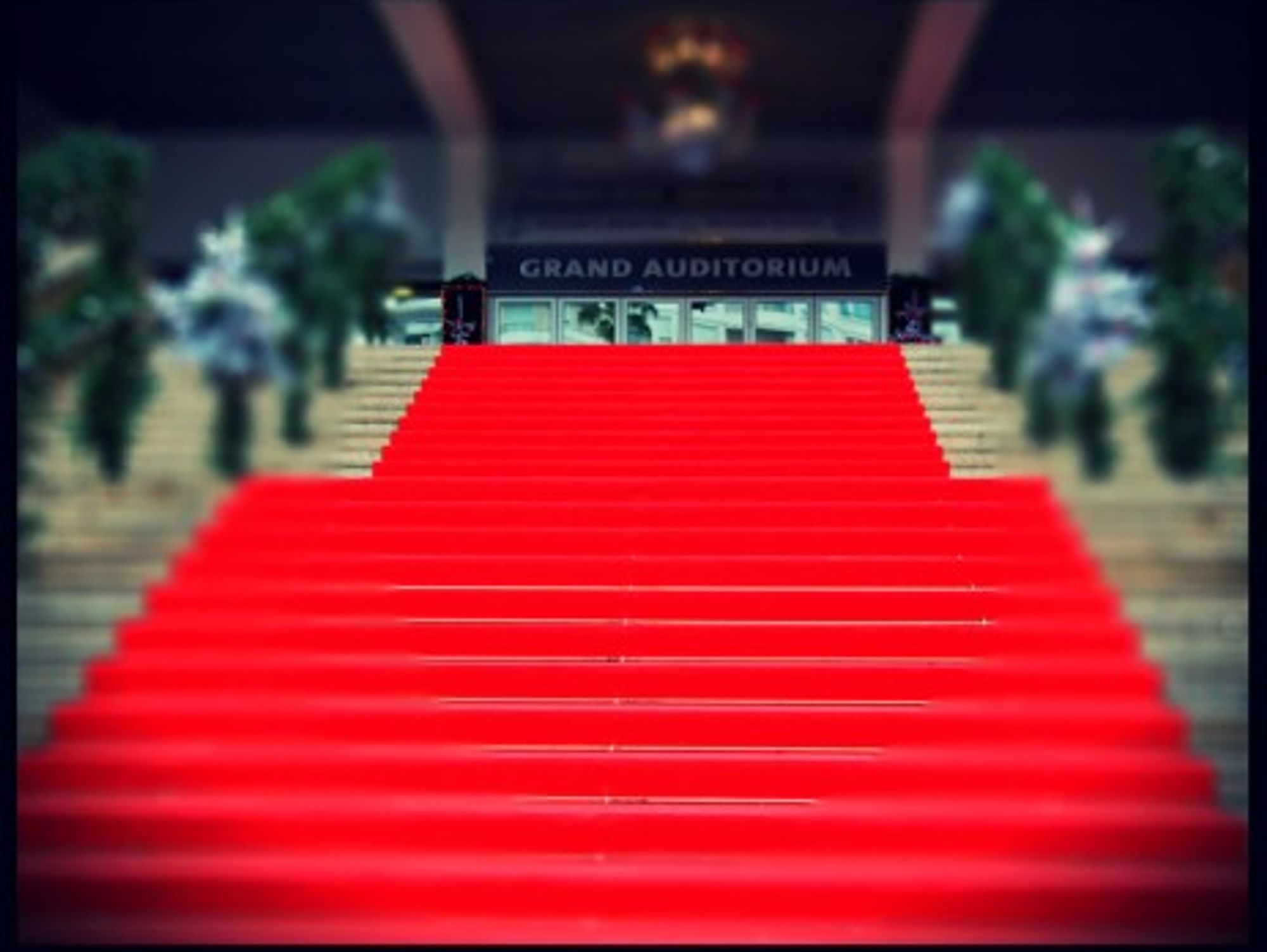 The Cannes red carpet
