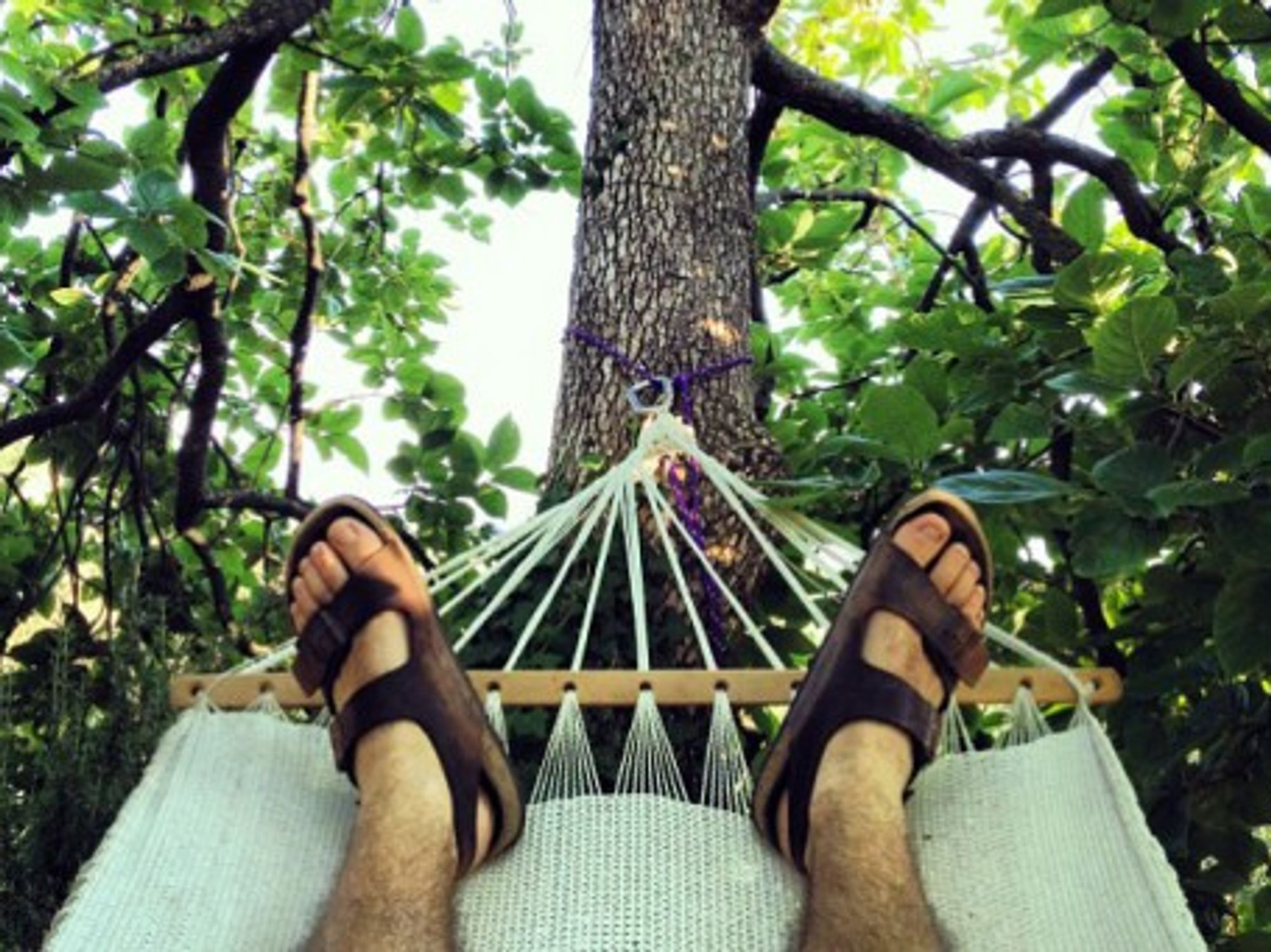 The classic Arizona unisex (and asexual) Birkenstock â€” Photo: Marco Bellucci