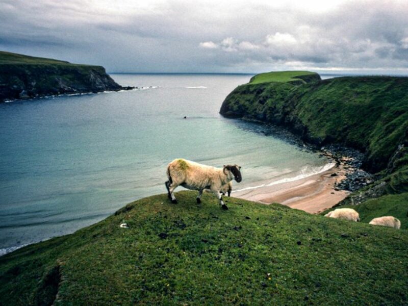 The Cliffs of Moher