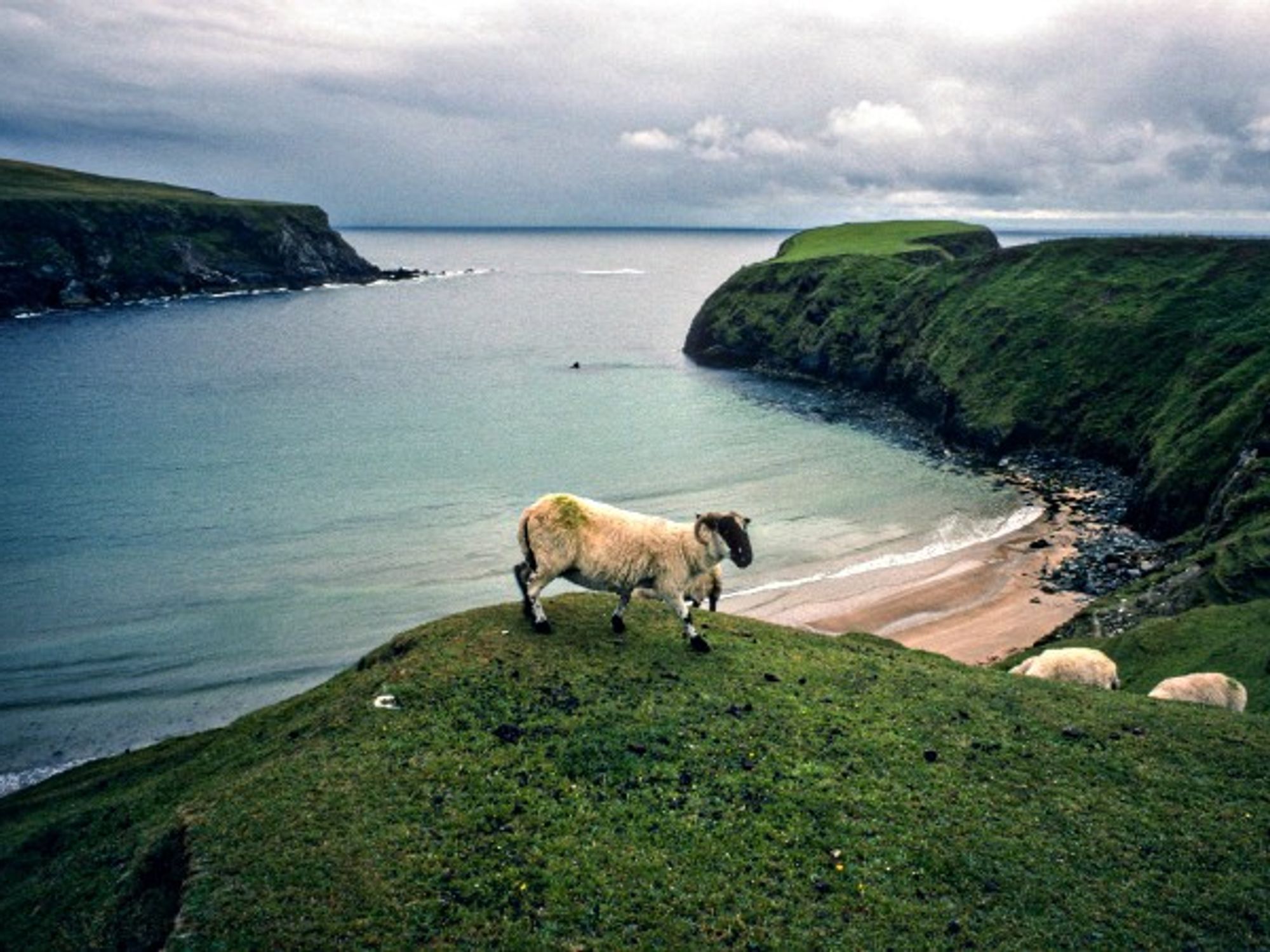 The Cliffs of Moher