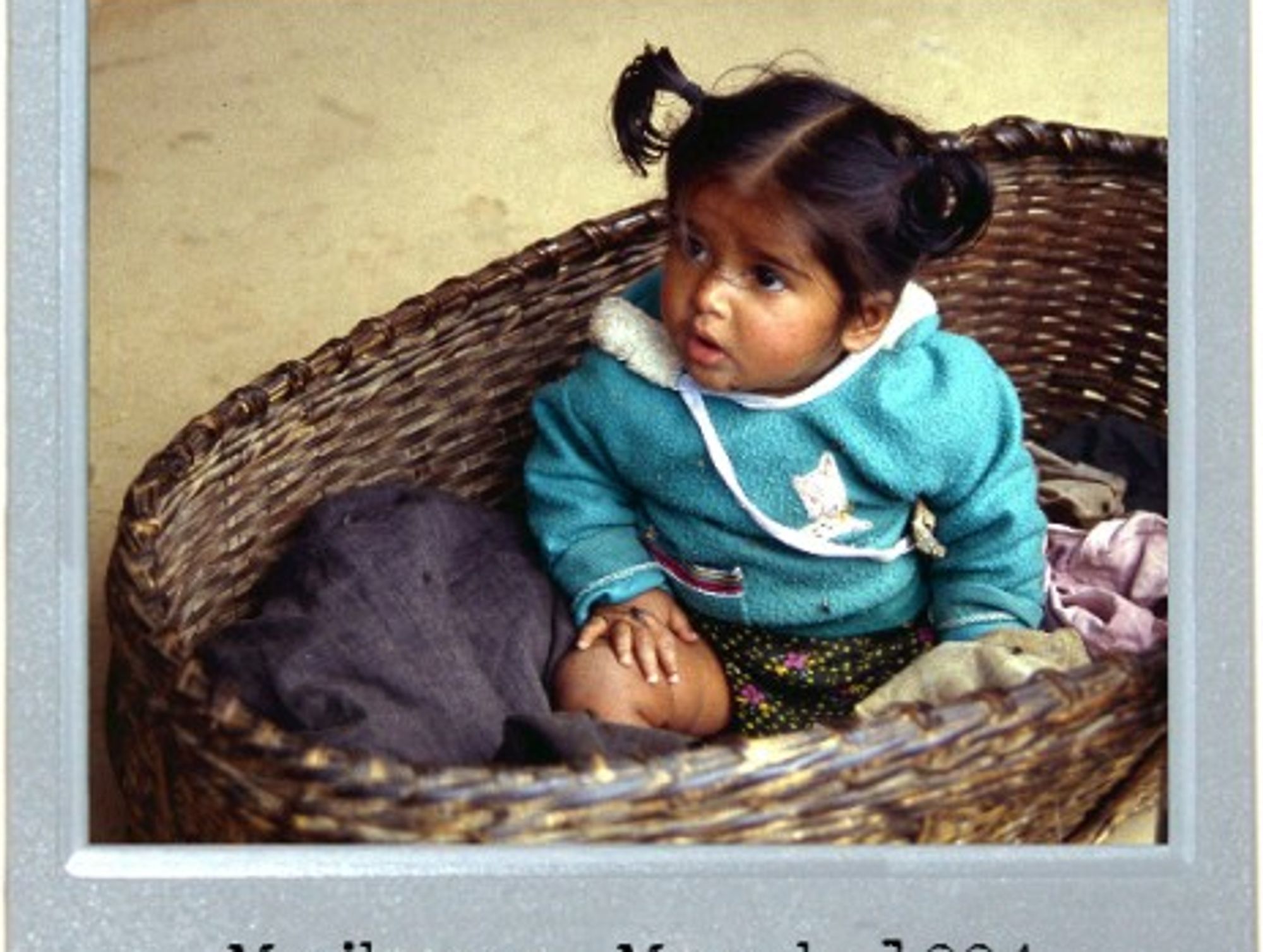 The Cradle Of The Himalayas