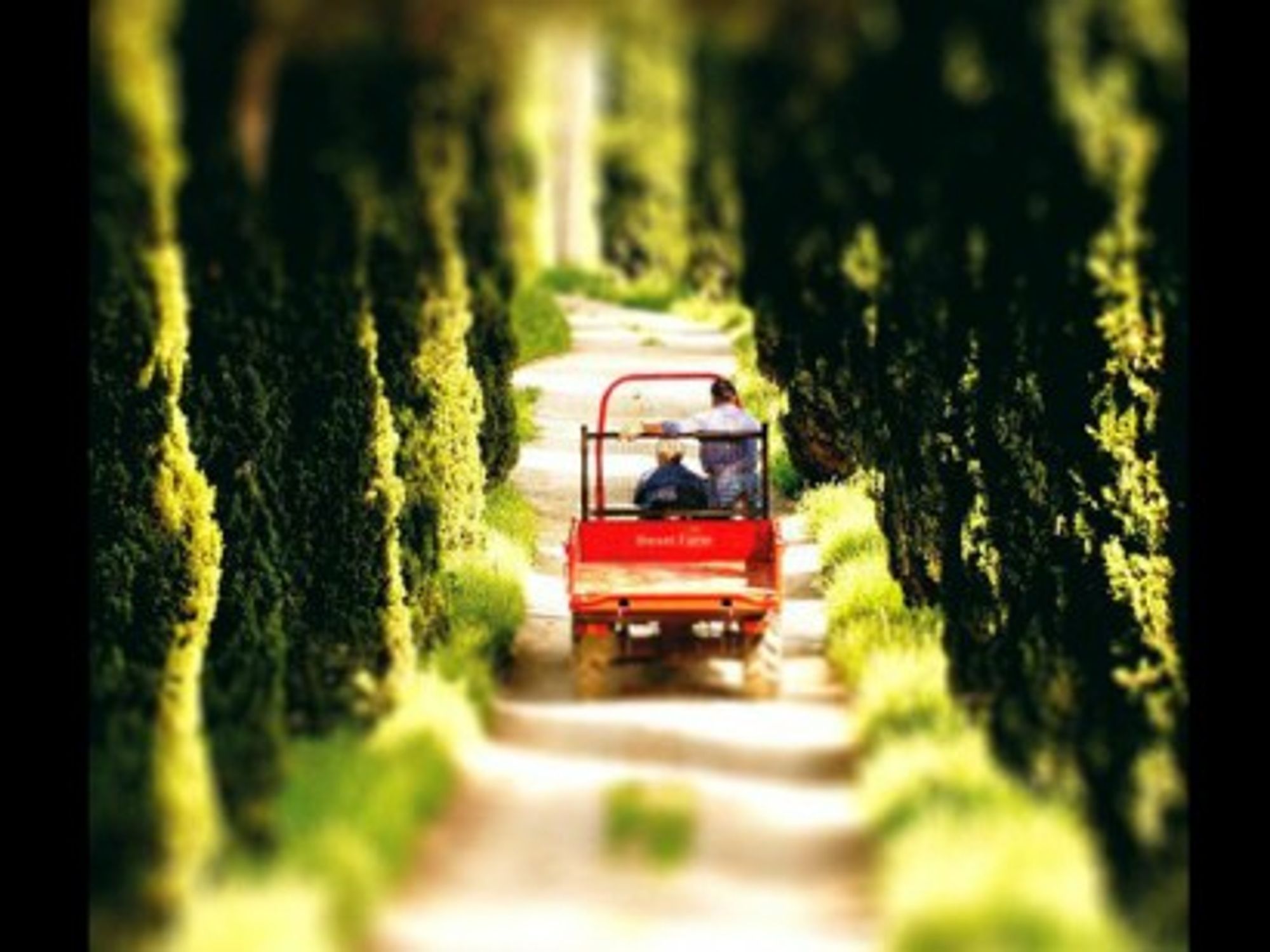 The diesel farm