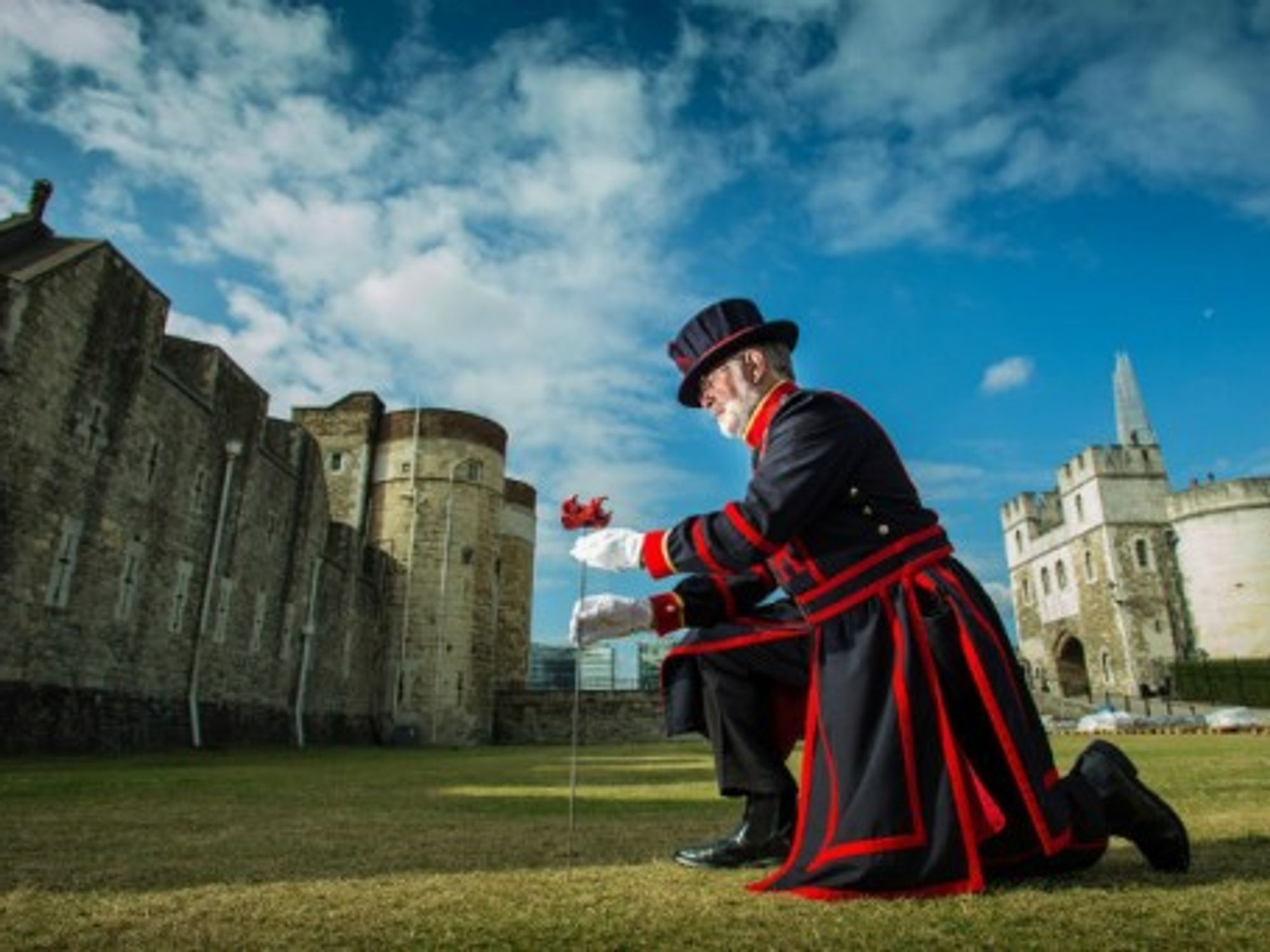 The first of 888,246 ceramic poppies in London to commemorate UK's involvment in WWI.