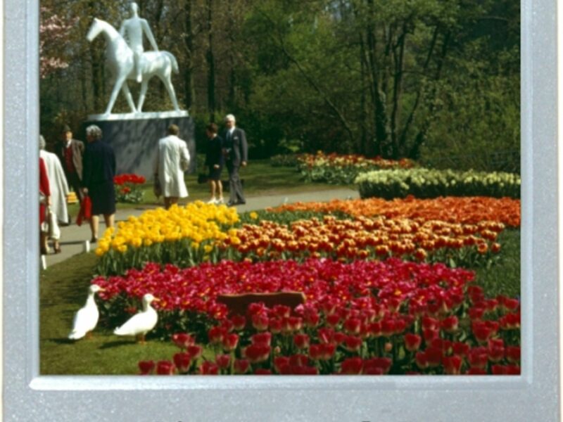 The Garden Of Europe