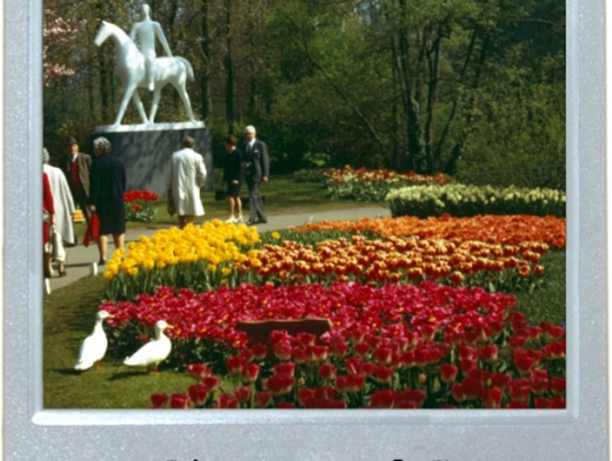 The Garden Of Europe