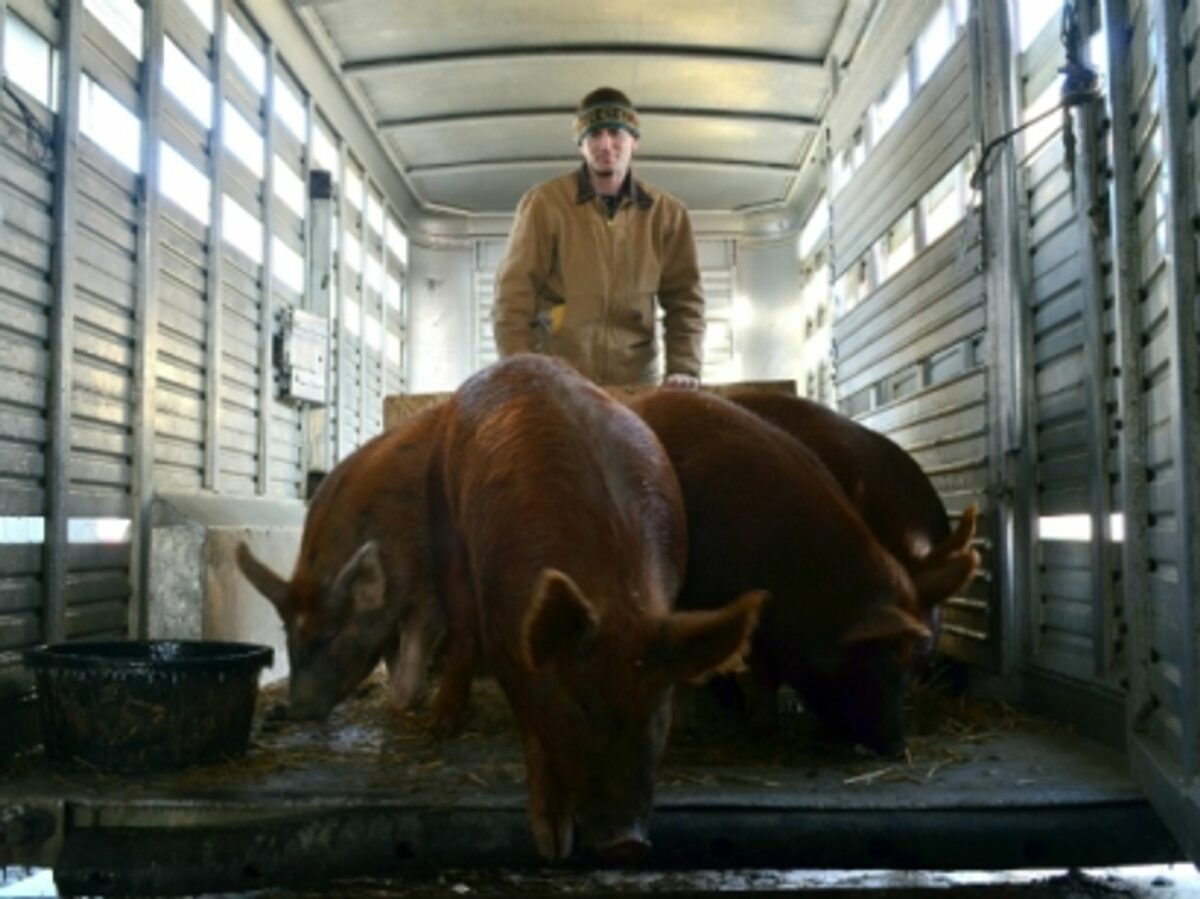 The Importance And Impossibility Of Tracing Your Meat