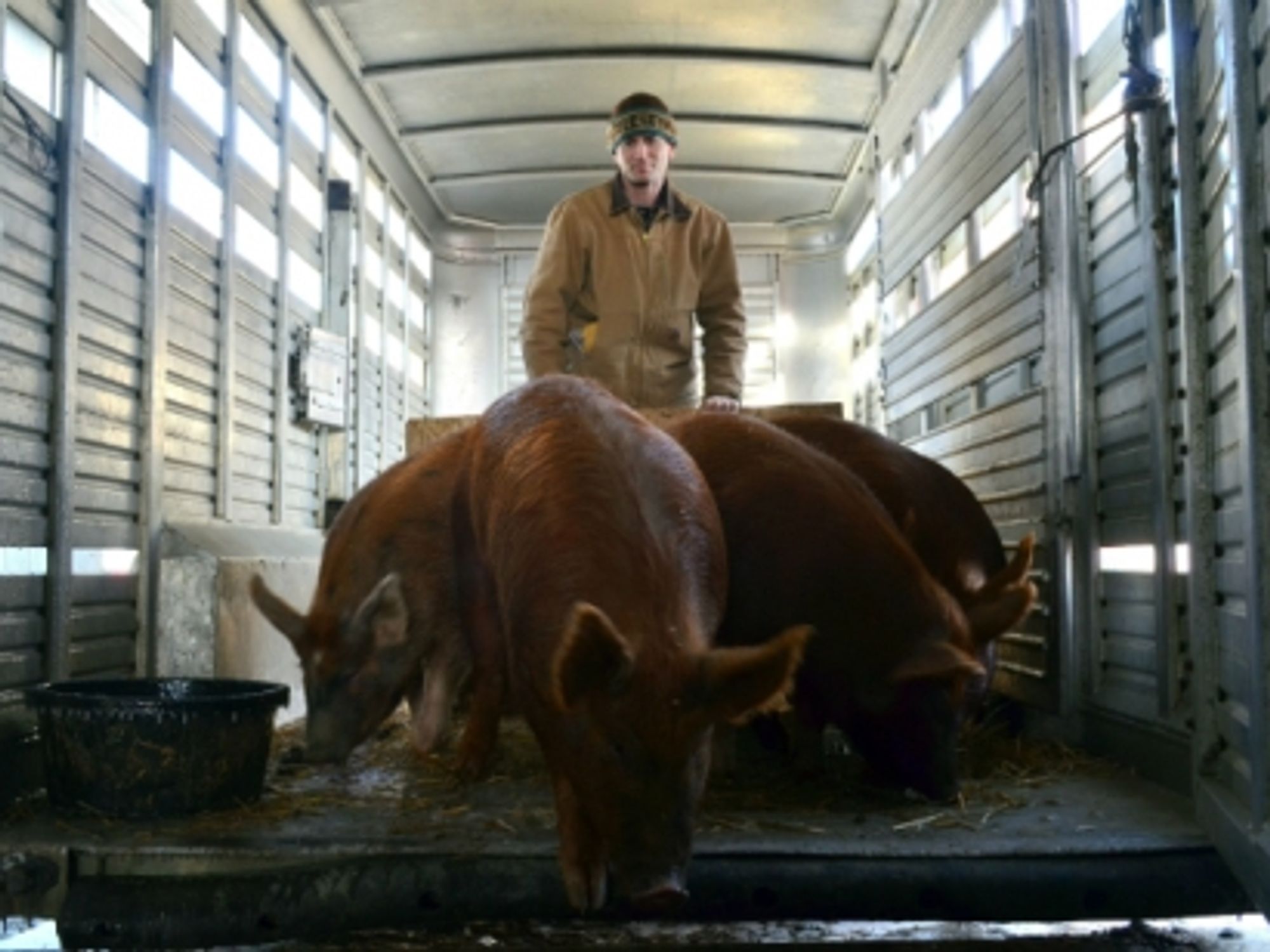 The Importance And Impossibility Of Tracing Your Meat