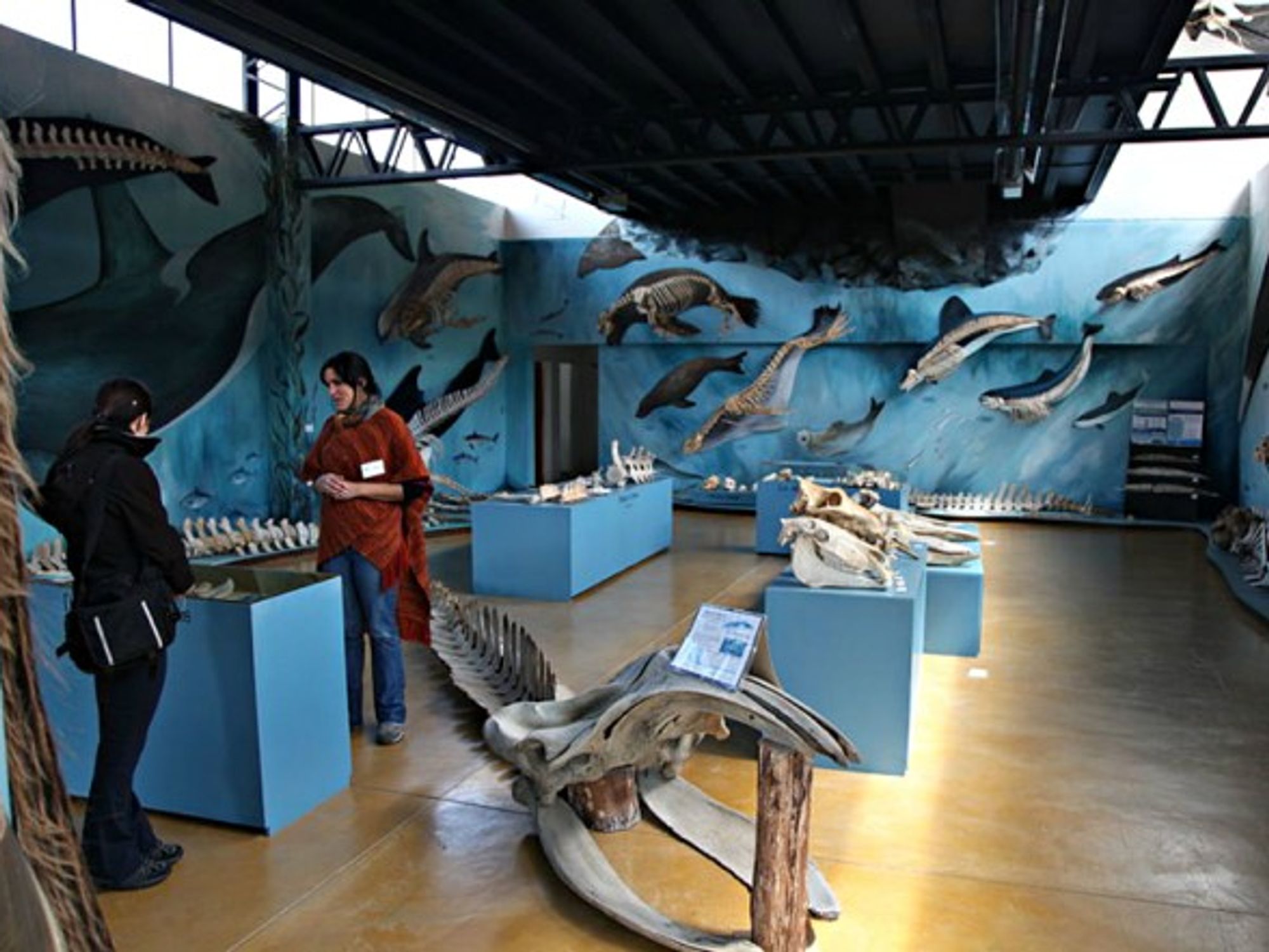 The interior of The Acatushun Museum of Southern Birds and Mammals