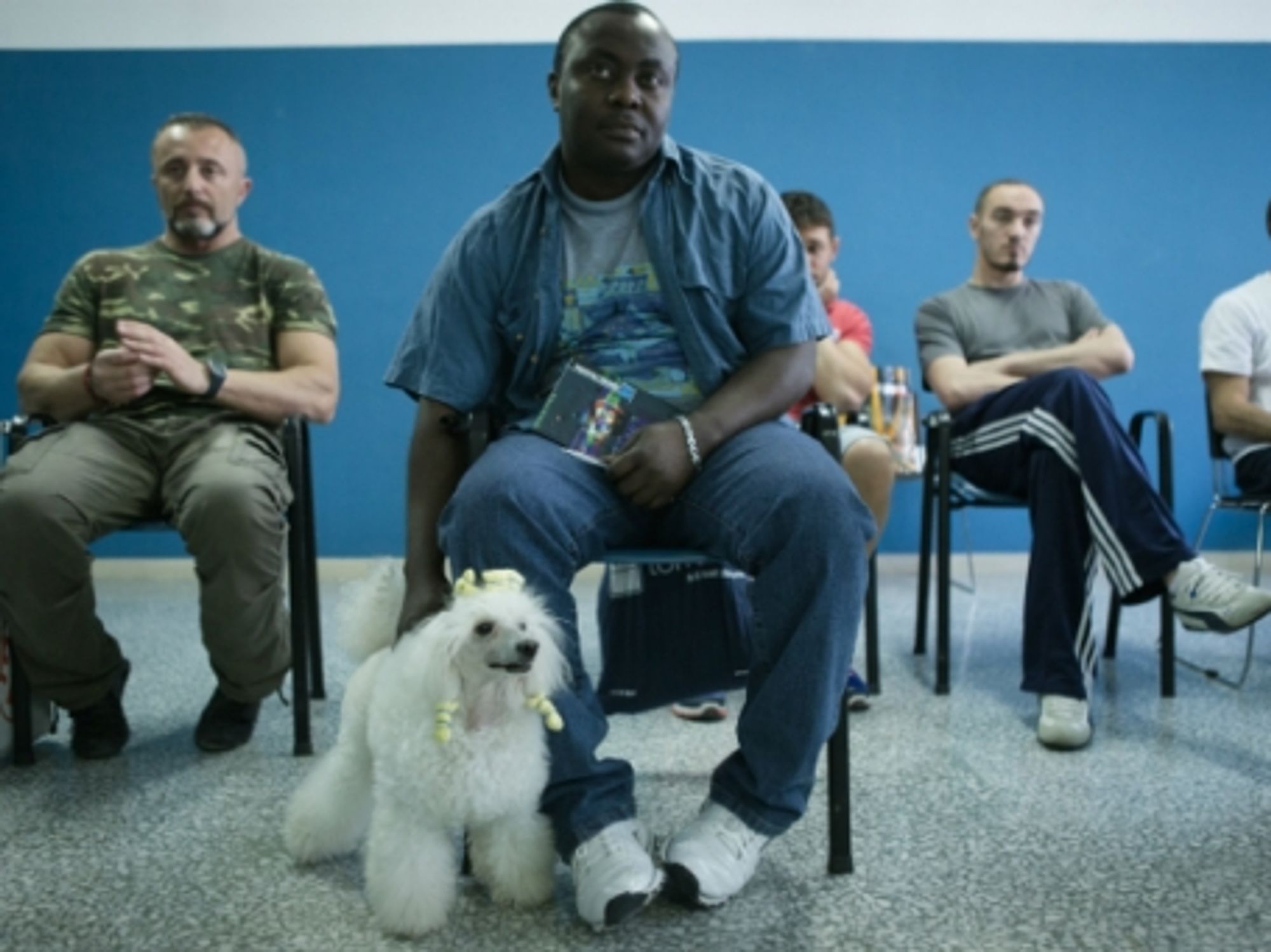 The Italian Prison That Teaches Inmates To Walk Your Dogs