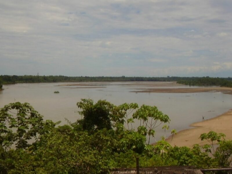 The Japura river