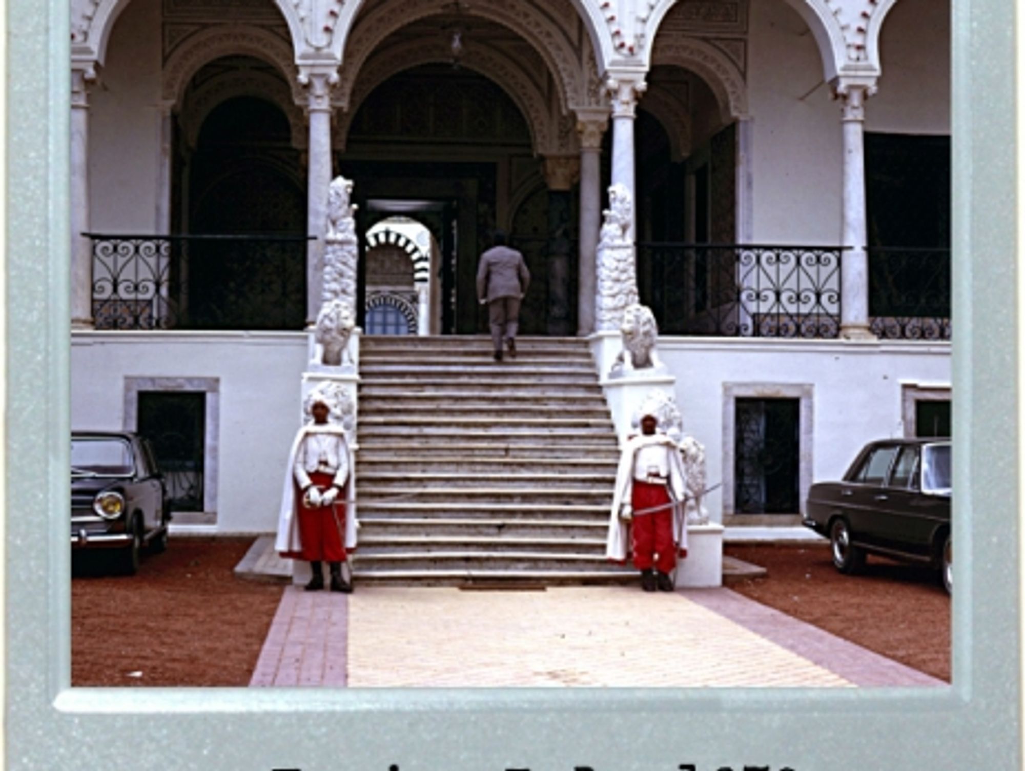 The Lion Guards