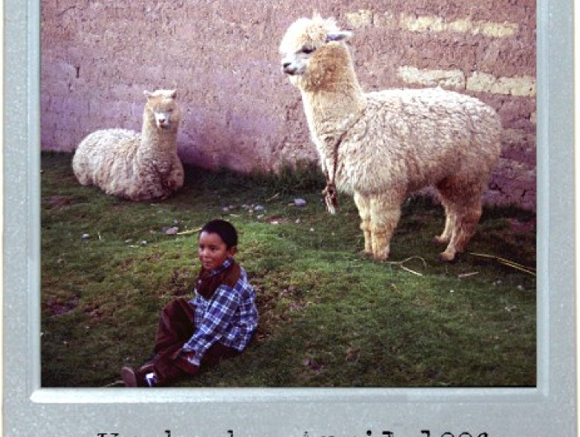The Llama Guarantee