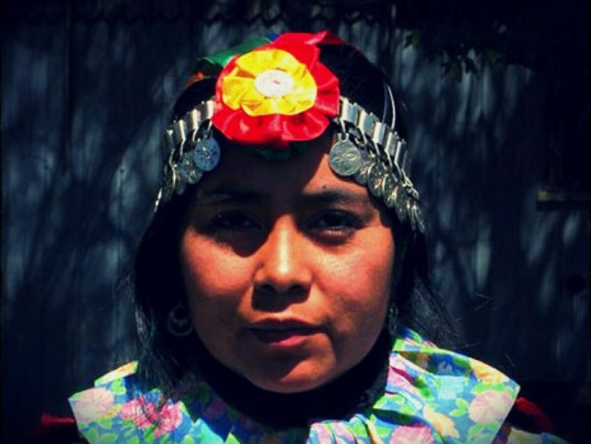 The Mapuches represent about 6% of the Chilean population