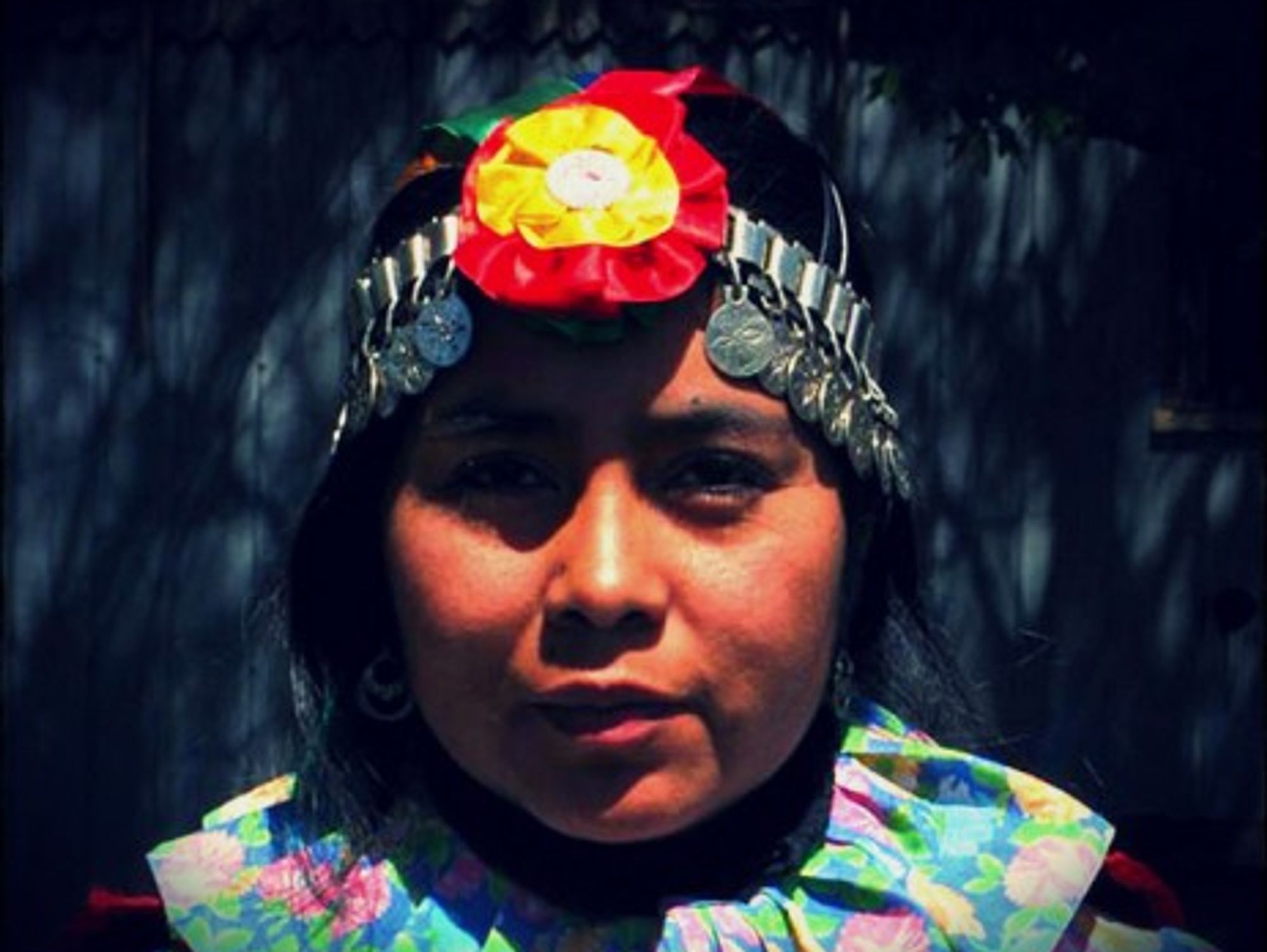 The Mapuches represent about 6% of the Chilean population