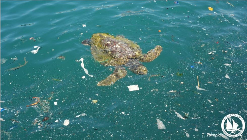 The Mediterranean is being choked by plastic.