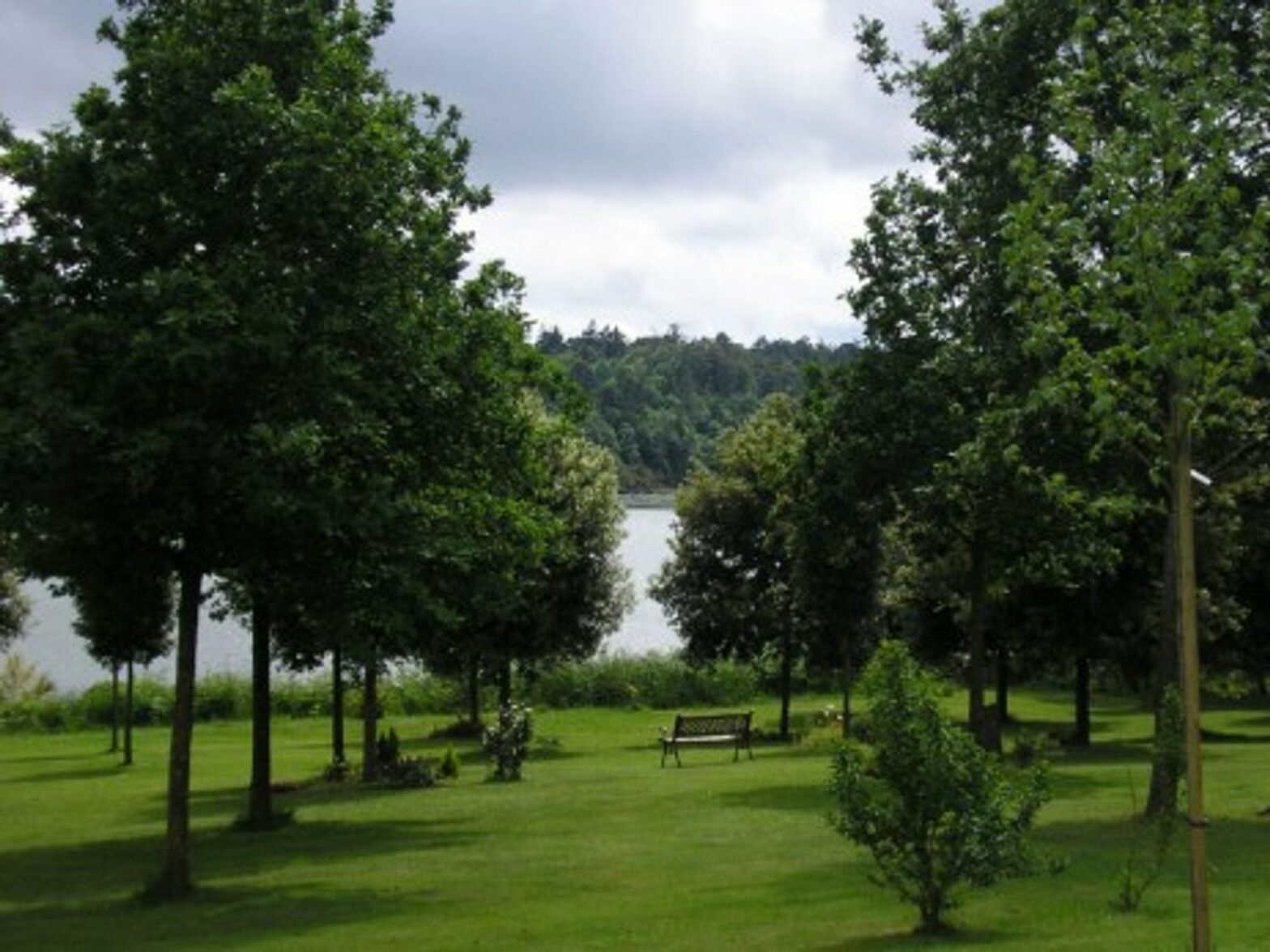 The Memory Garden