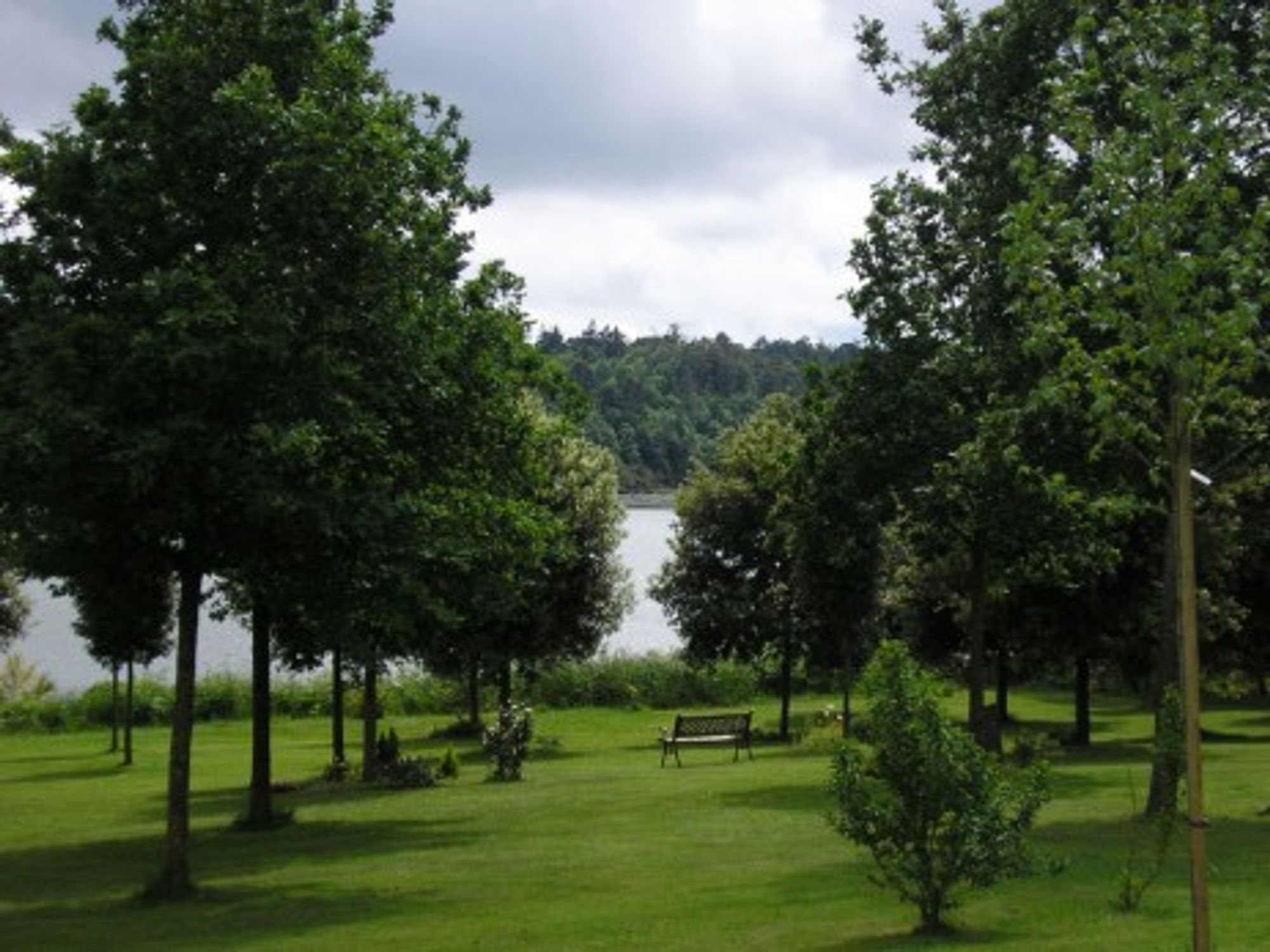The Memory Garden
