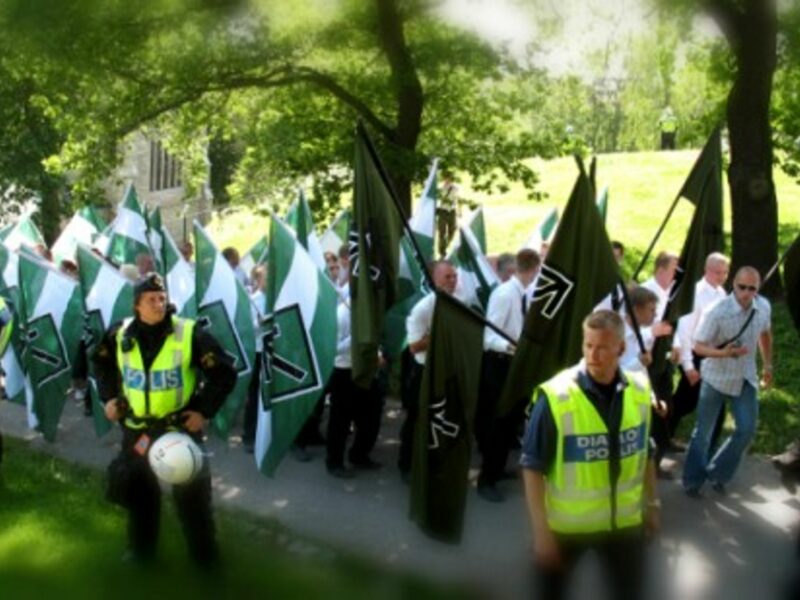 The neo-Nazi Swedish Resistance Movement demonstrating in Stockholm.