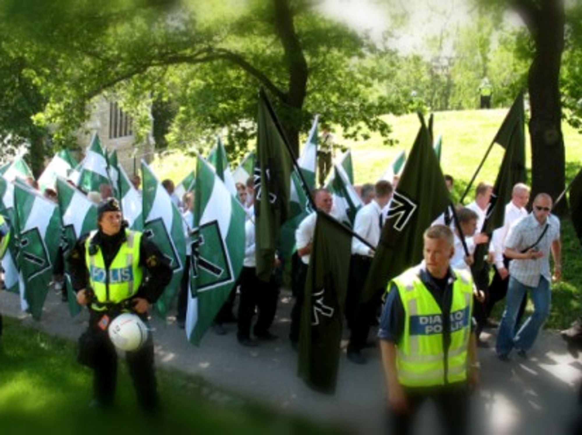 The neo-Nazi Swedish Resistance Movement demonstrating in Stockholm.