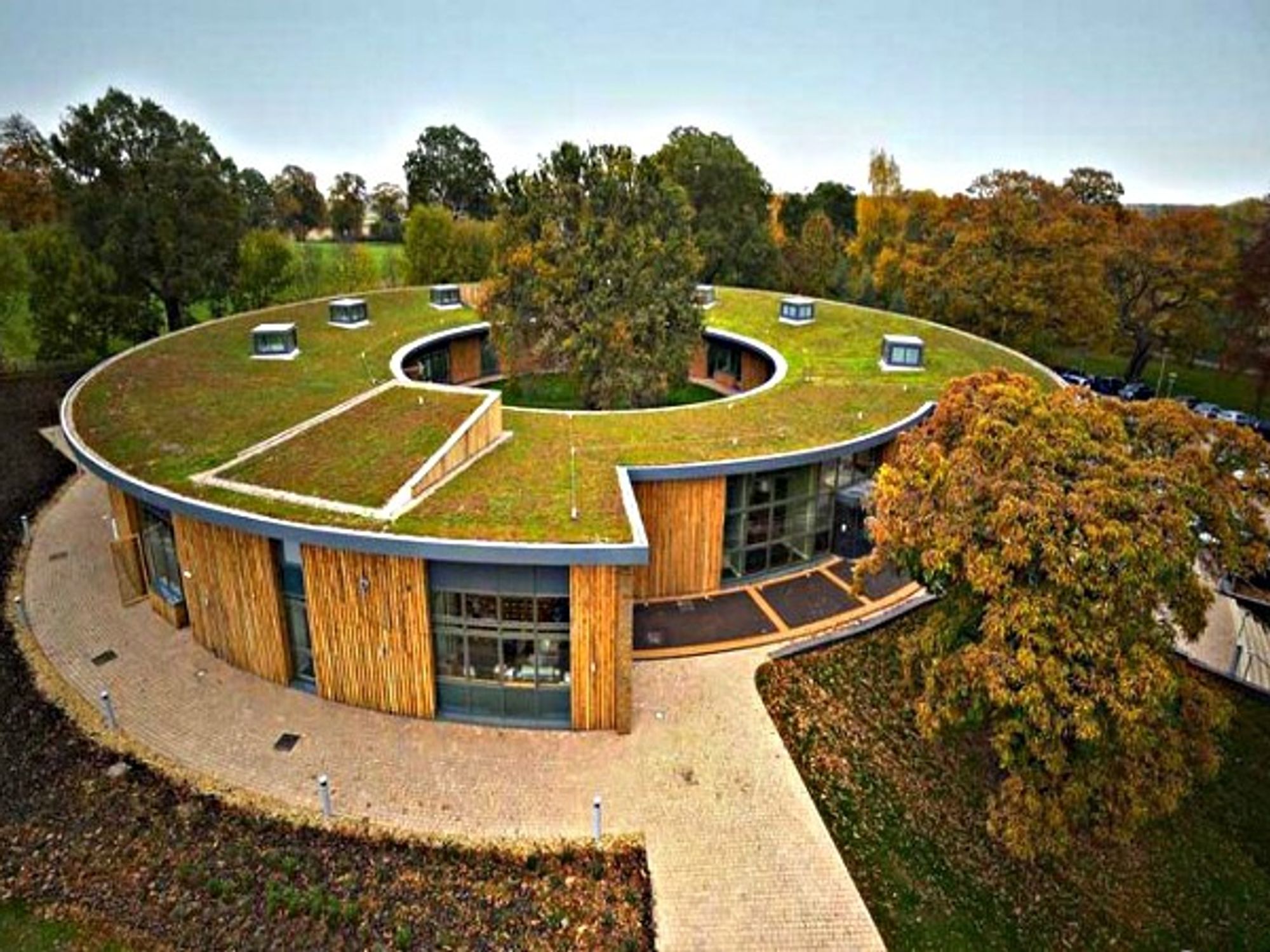 The new British Horse Society HQ circles an ancient Oak tree and is topped with a Sedum green roof.