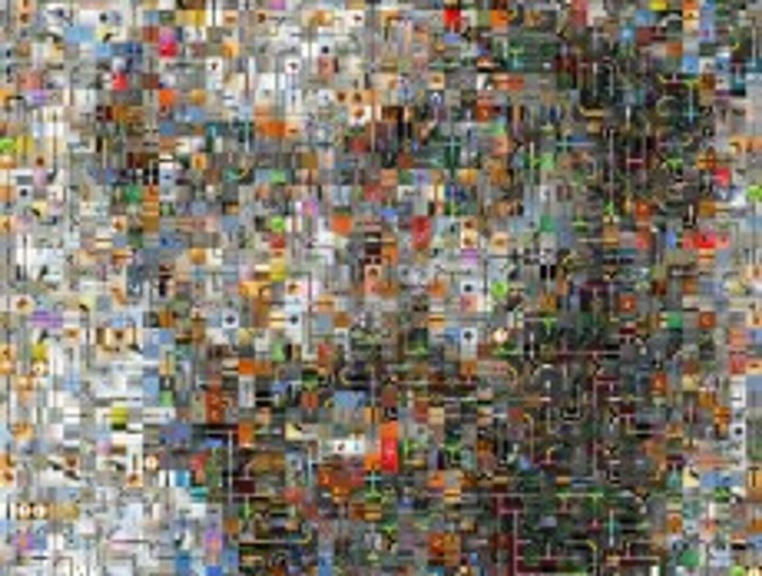 The Osama bin Laden puzzle