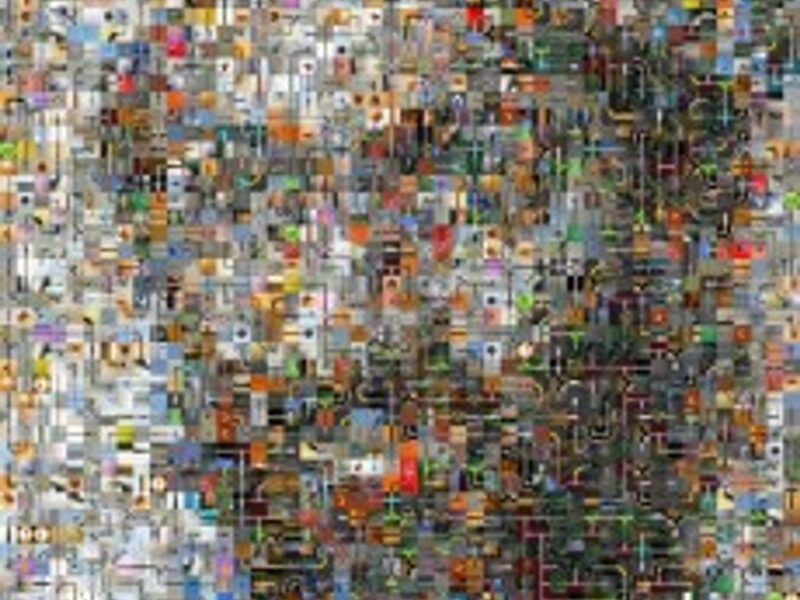 The Osama bin Laden puzzle