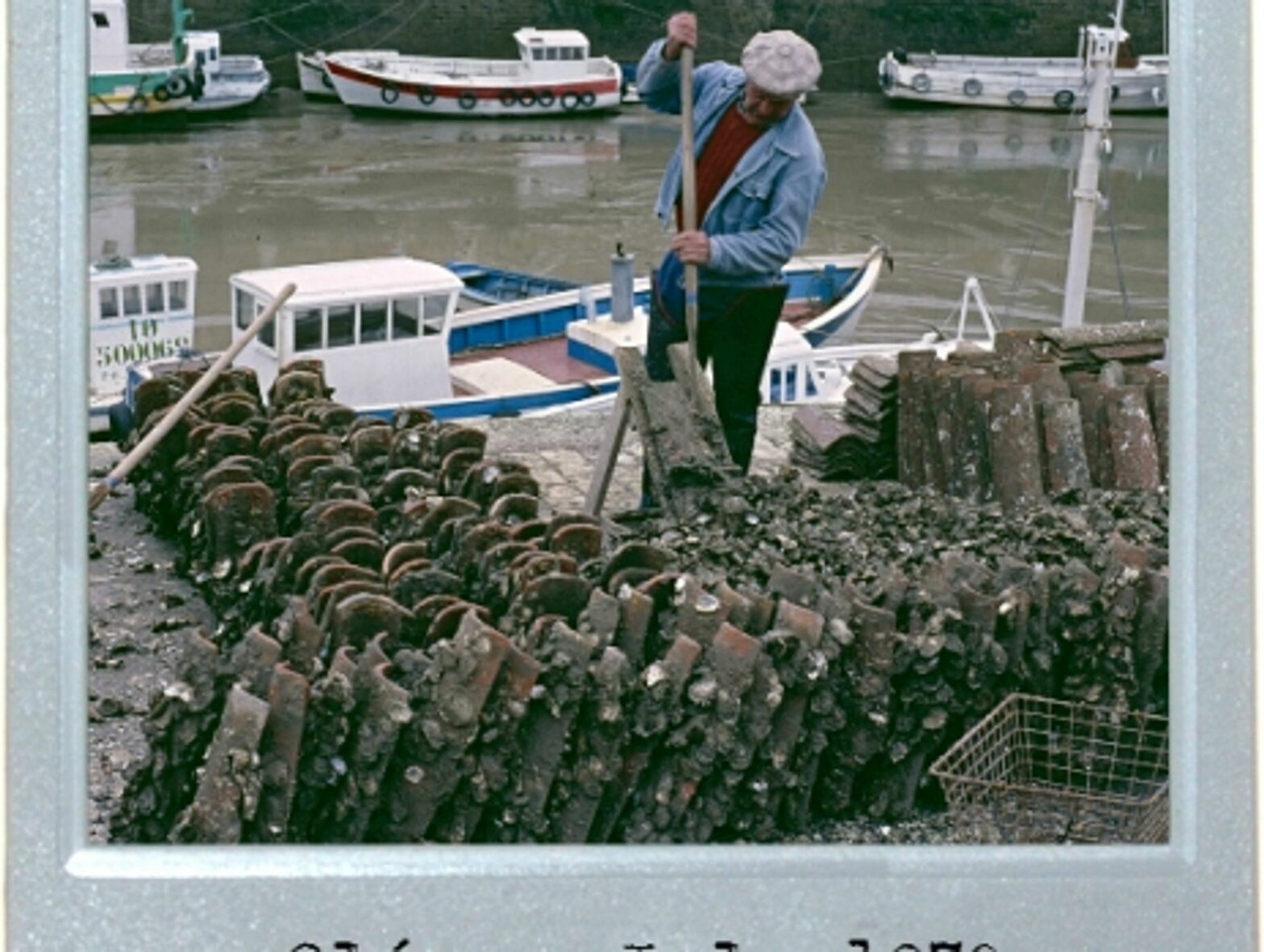 The Oyster Is Your World