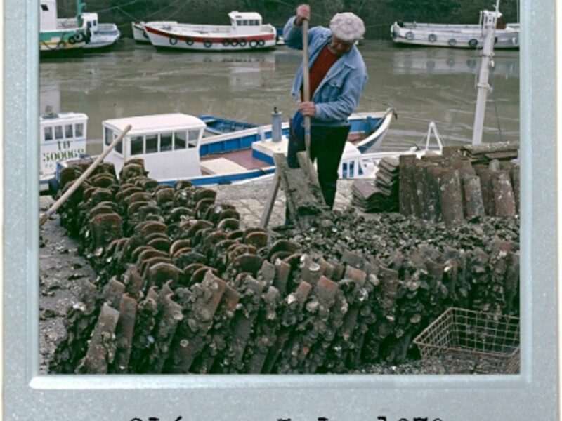 The Oyster Is Your World