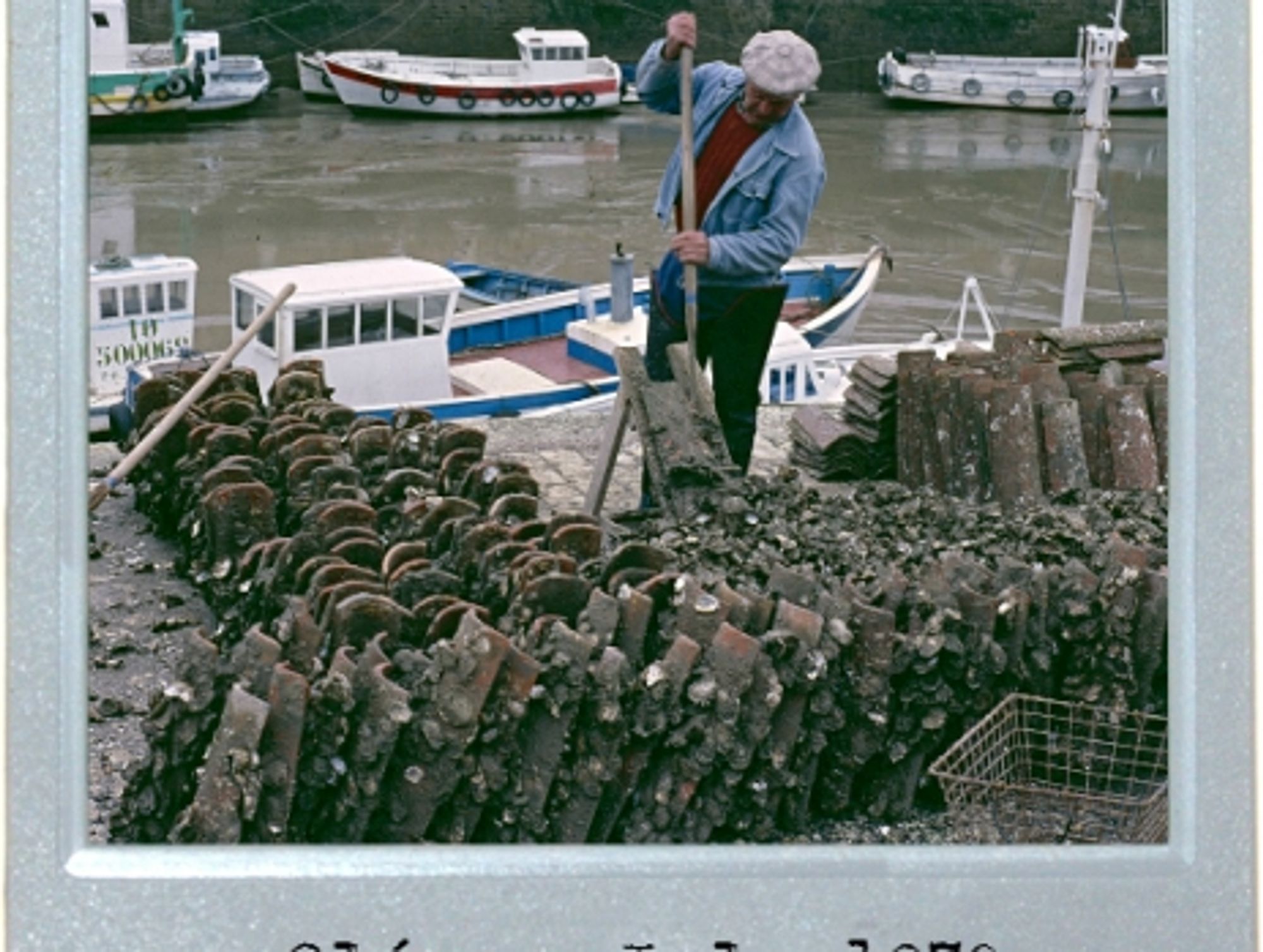 The Oyster Is Your World