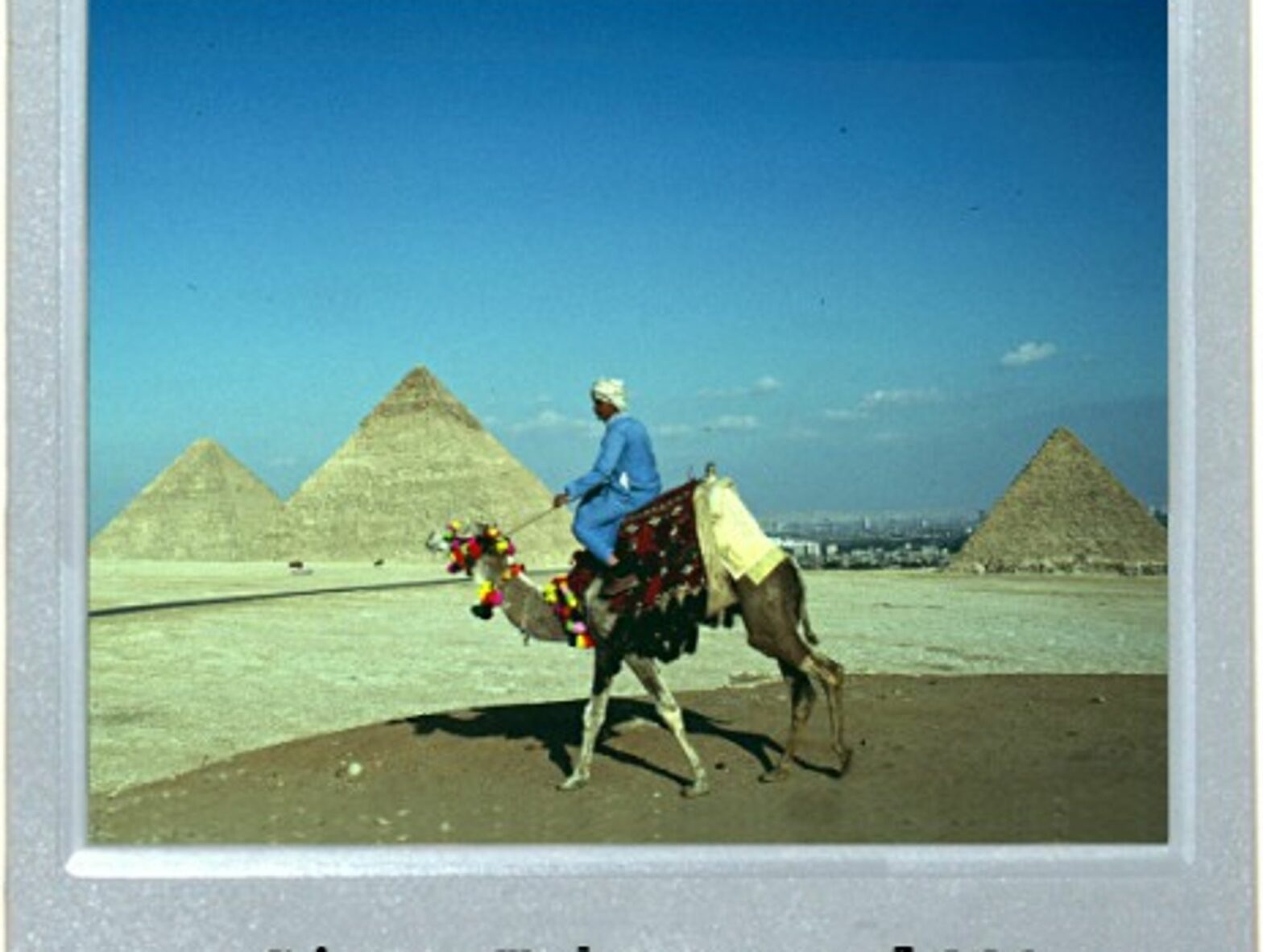 The Pharaoh's Battle