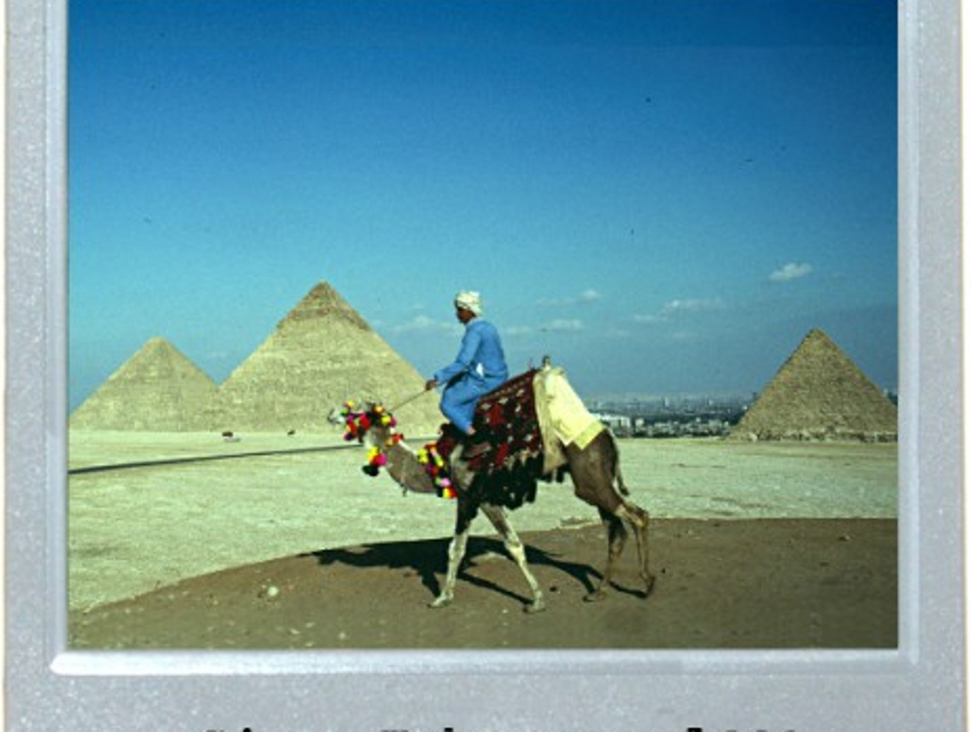 The Pharaoh's Battle