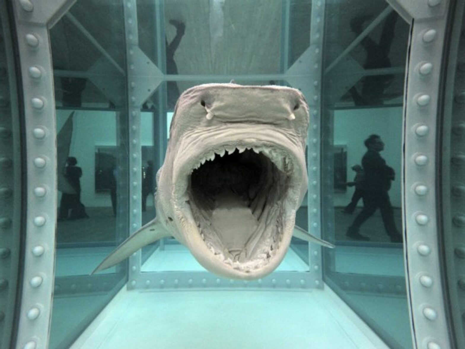 'The Physical Impossibility of Death in the Mind of Someone Living,' by Damien Hirst.