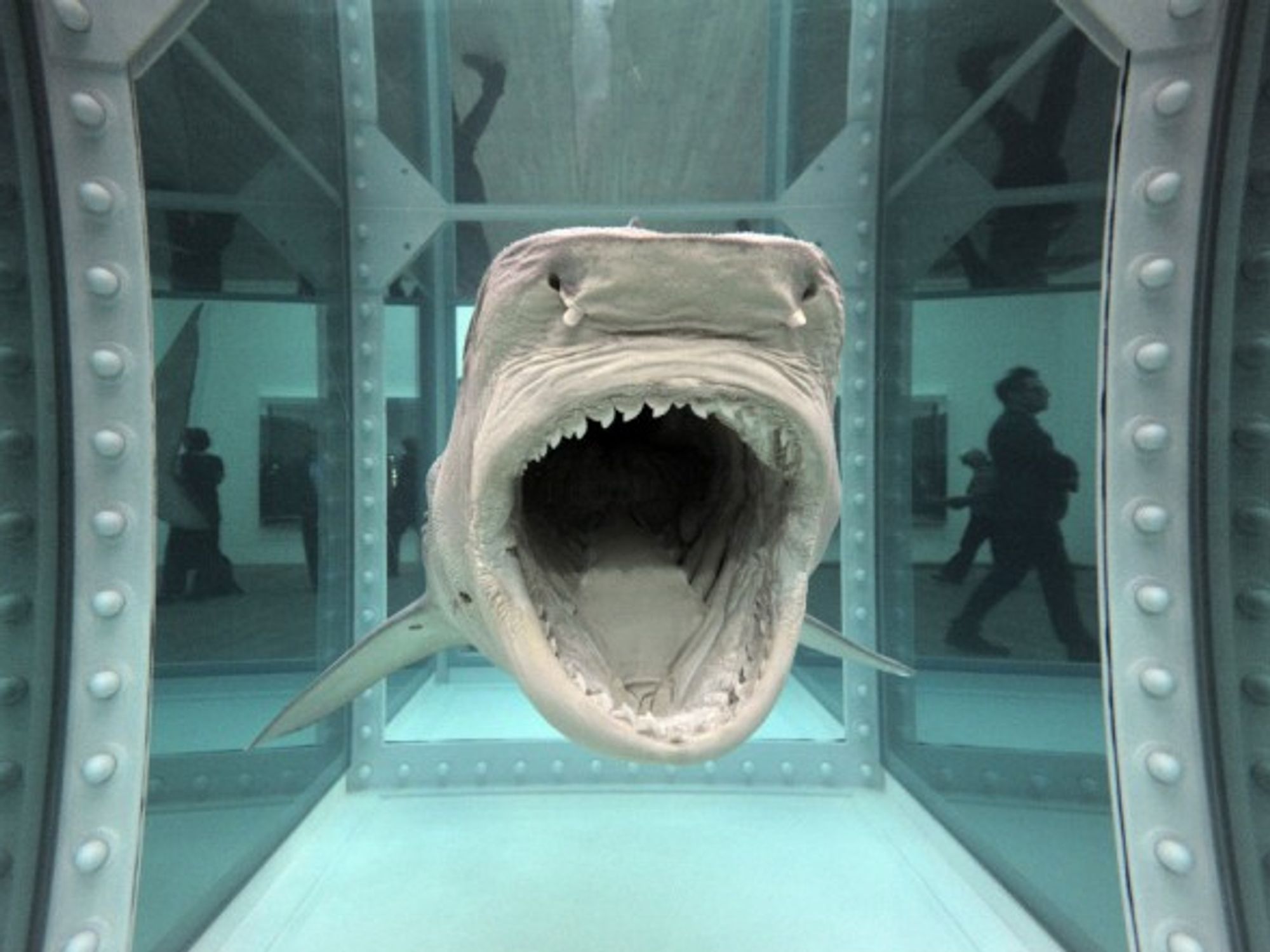 'The Physical Impossibility of Death in the Mind of Someone Living,' by Damien Hirst.