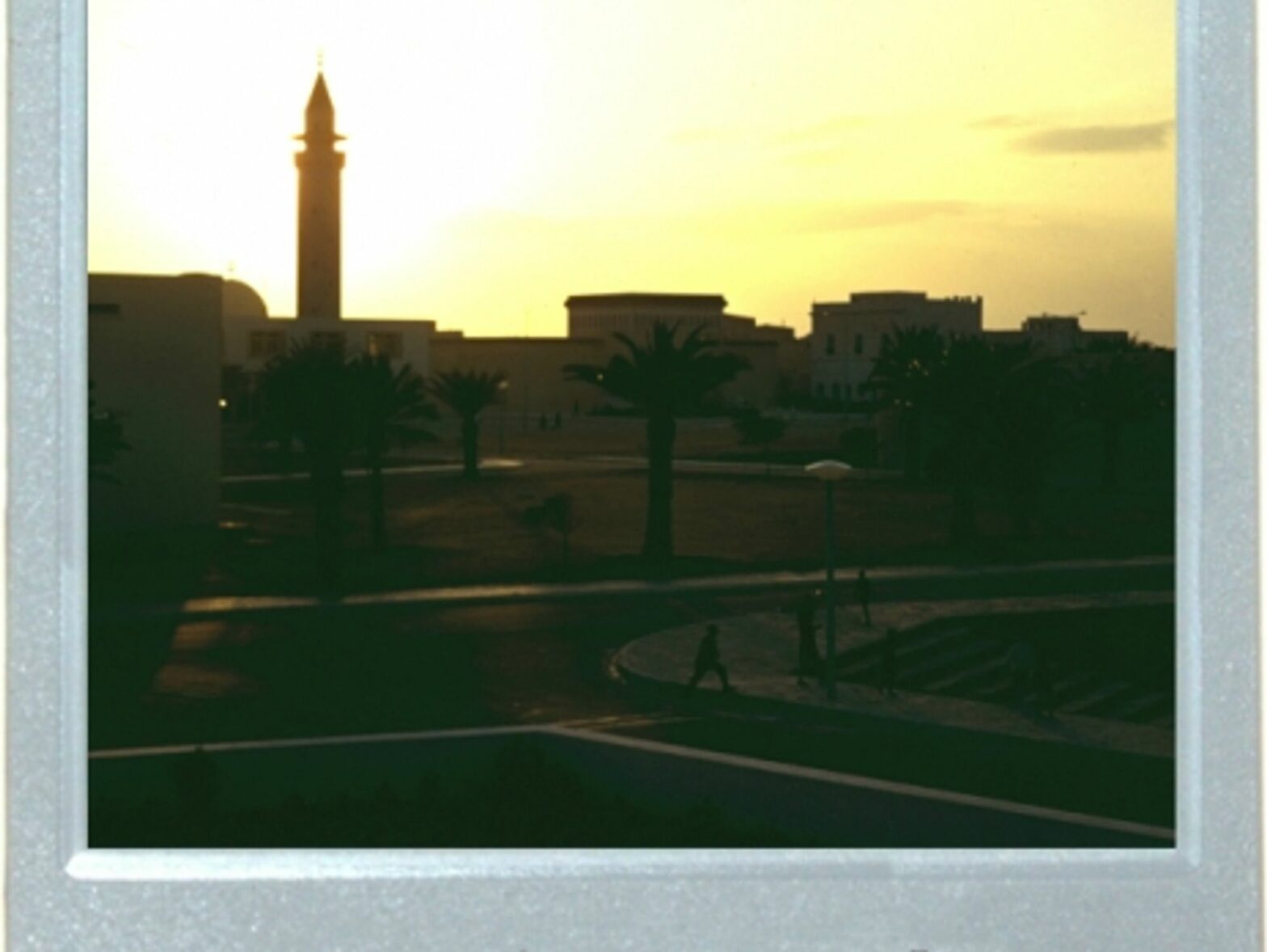 The President's City