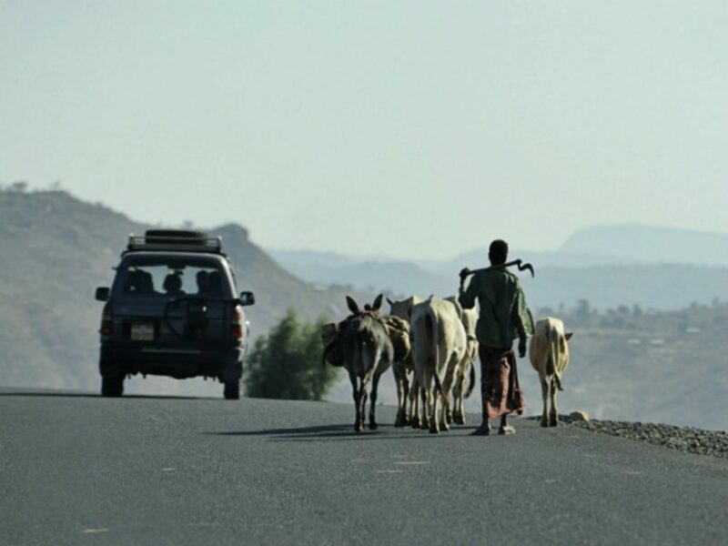 The prospect of a better life elsewhere is on everyone’s lips in rural Ethiopia