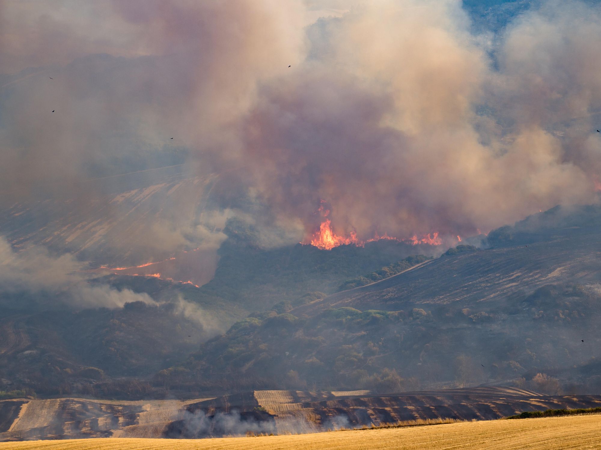 A Picturesque, Damning View Of Our Wildfire Planet