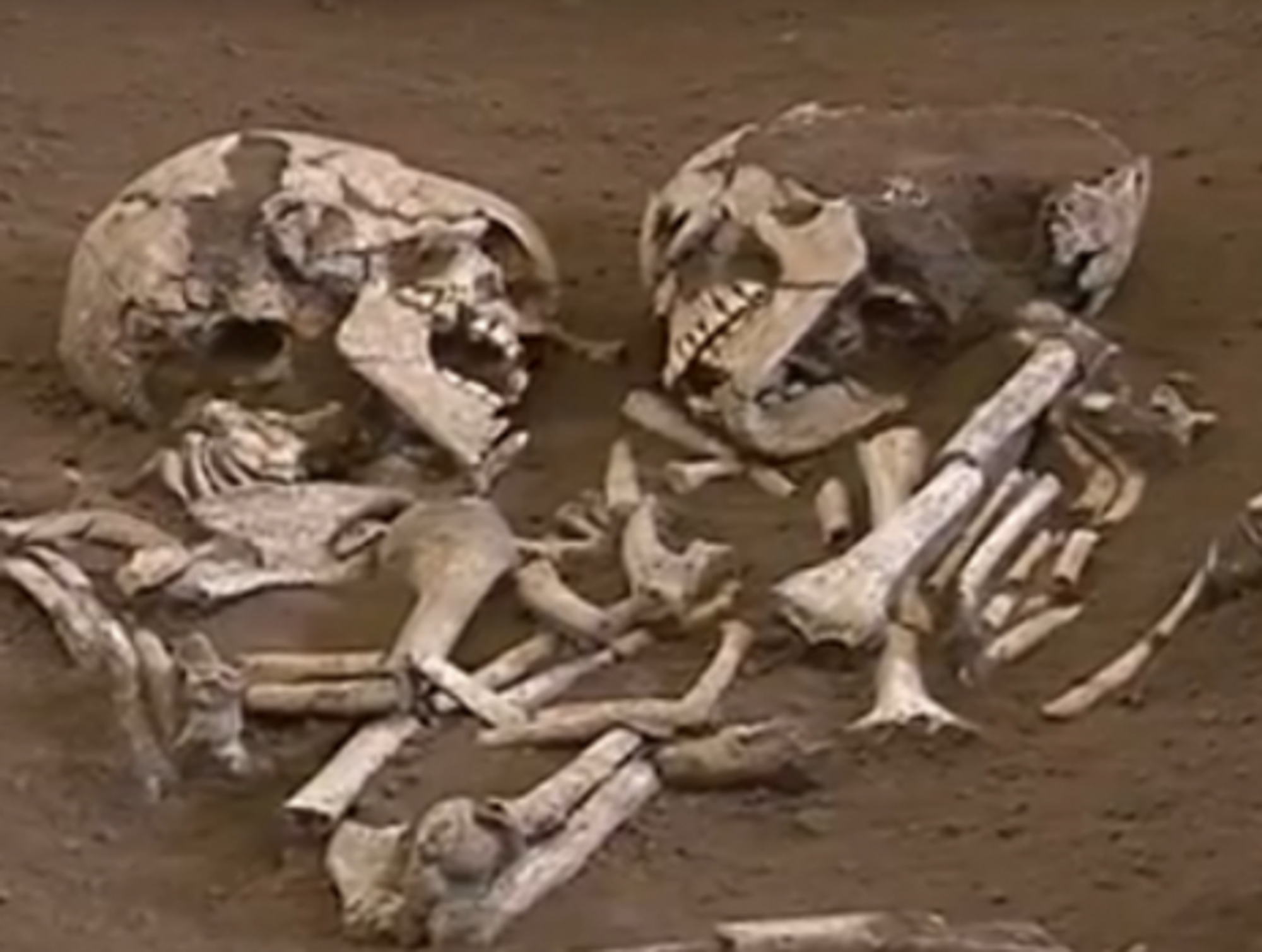 The remains of the entwined Neolithic lovers
