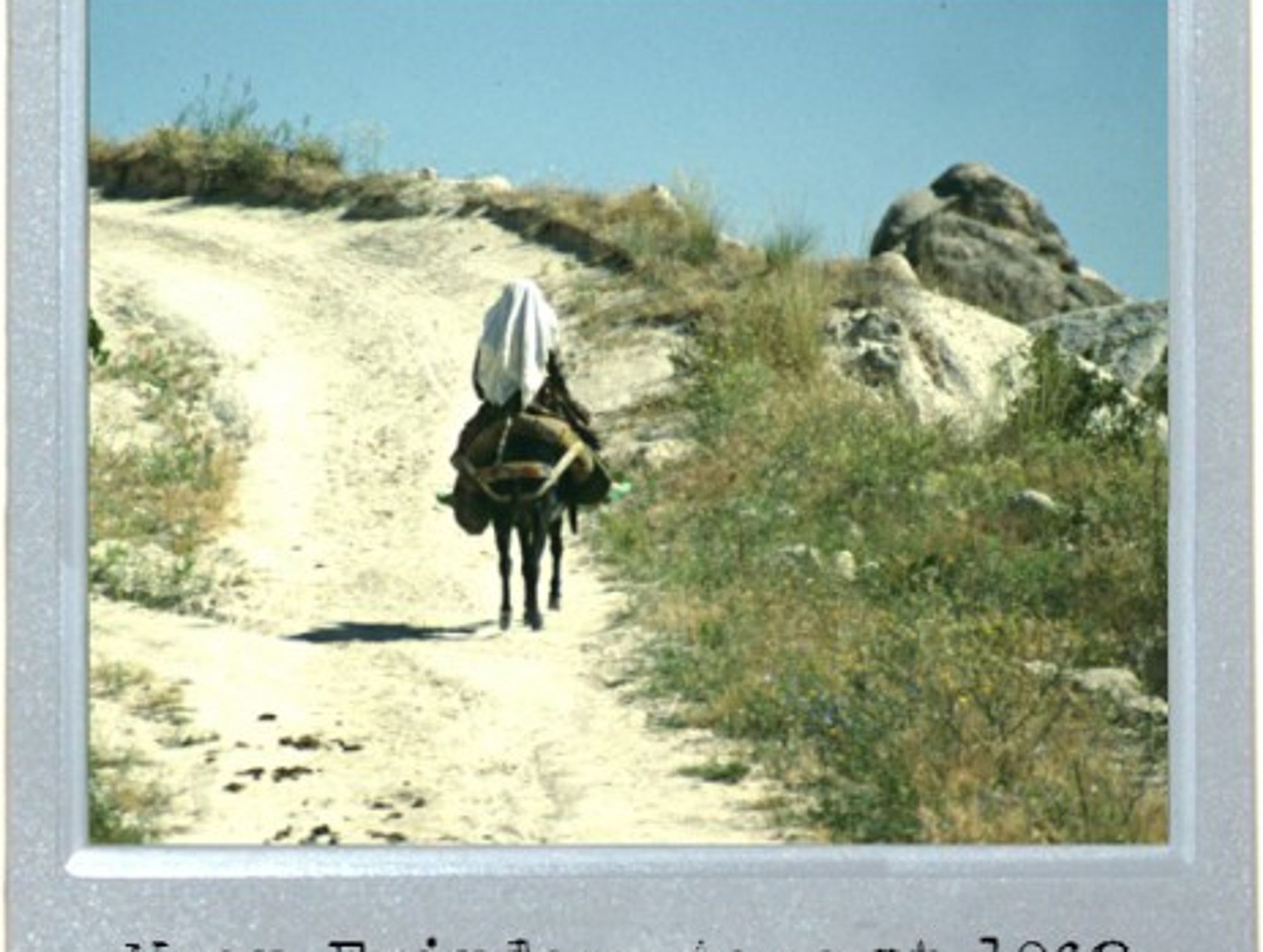 The Road Back To Turkey