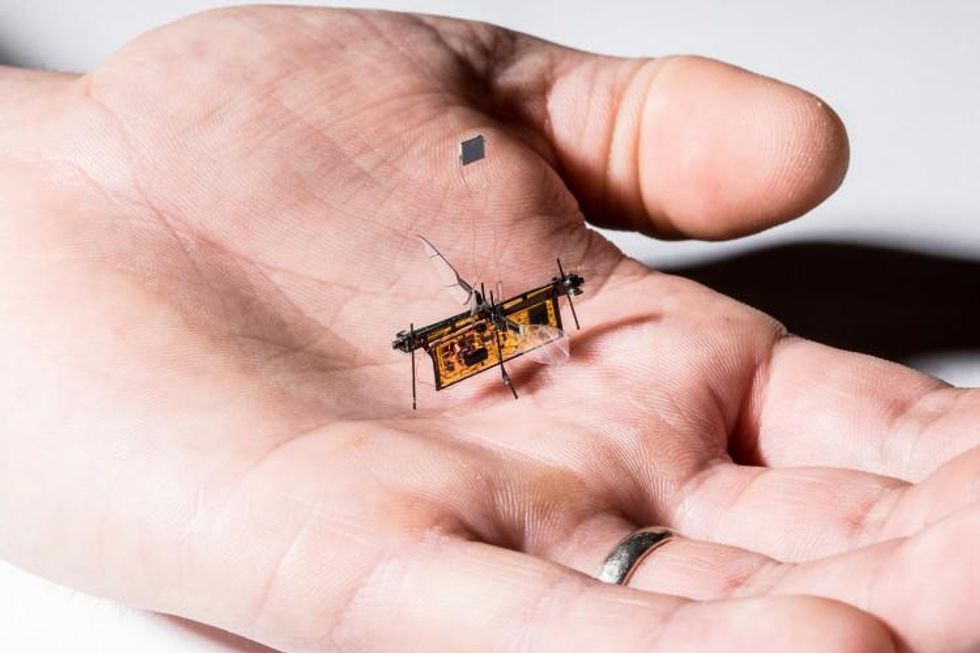 The RoboFly is powered by a laser beam