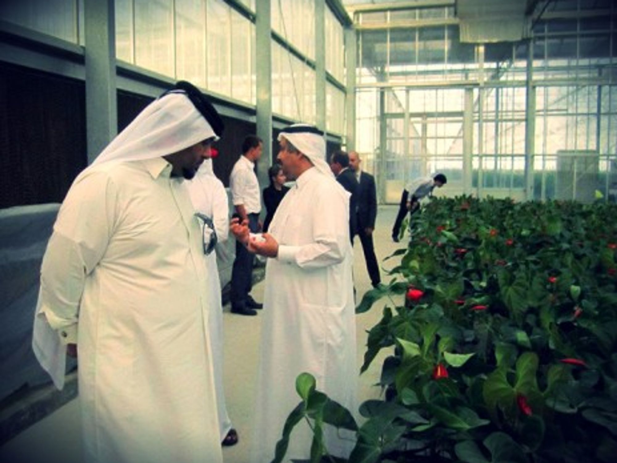 The Roza Hassad greenhouses near Doha, Qatar