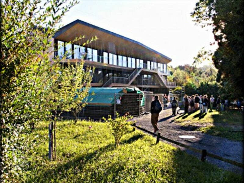 The Rudolf Steiner school near Lausanne