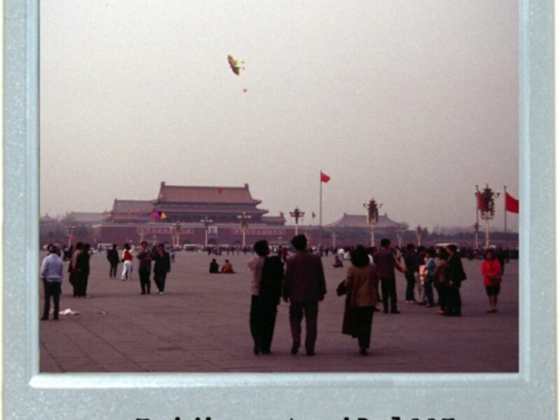The Solitary Kite